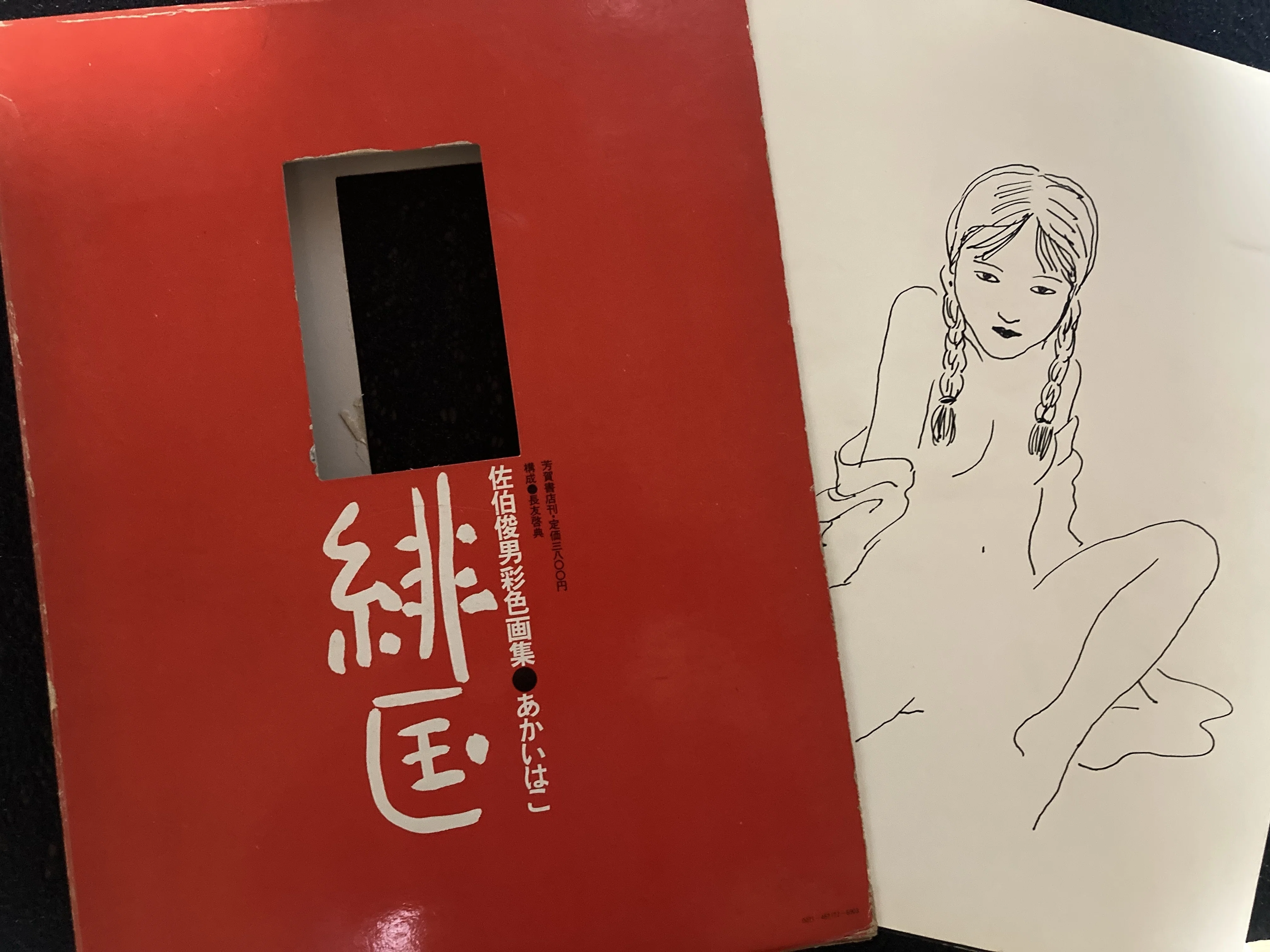 どうしても欲しかったあの本1 佐伯俊男色彩画集「緋匡 あかいはこ