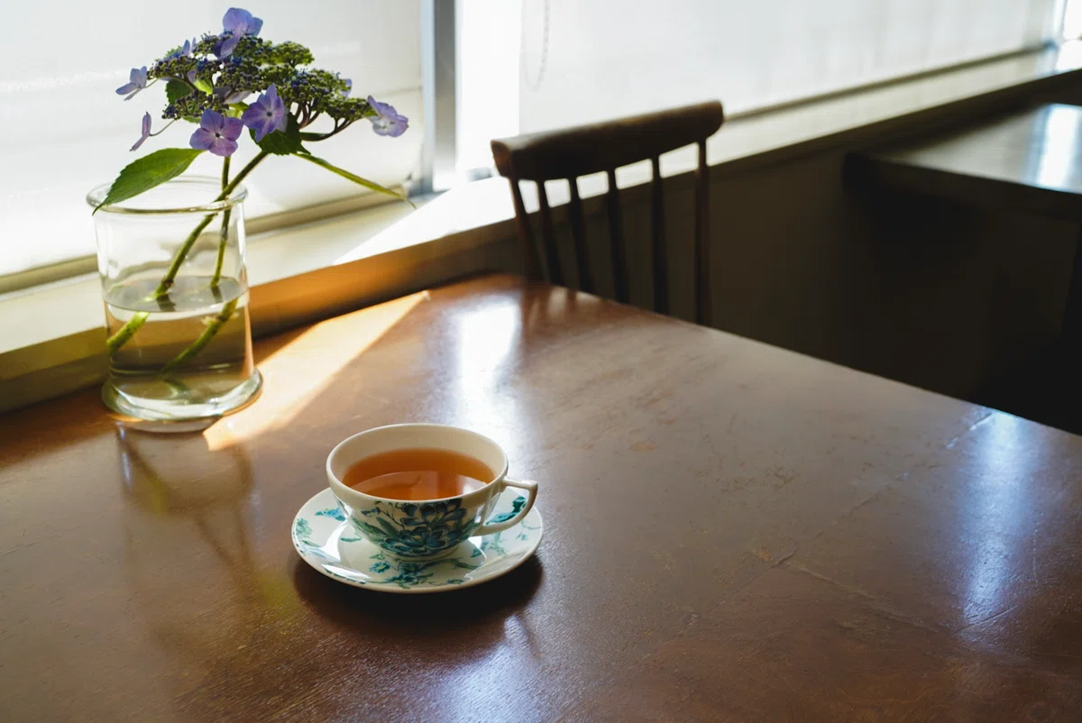 札幌 紅茶専門店 キノカフェ 店内 紅茶