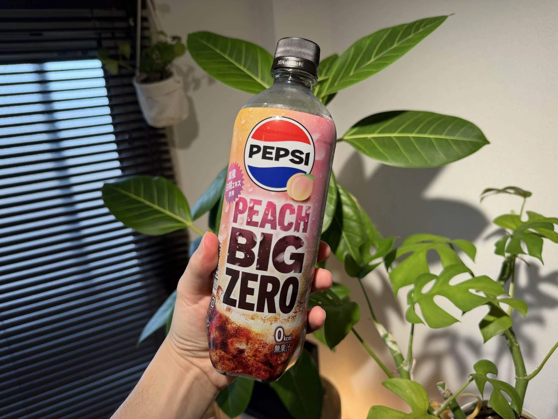 正直レビュー】ペプシ ゼロピーチ飲んでみた｜fast_seal