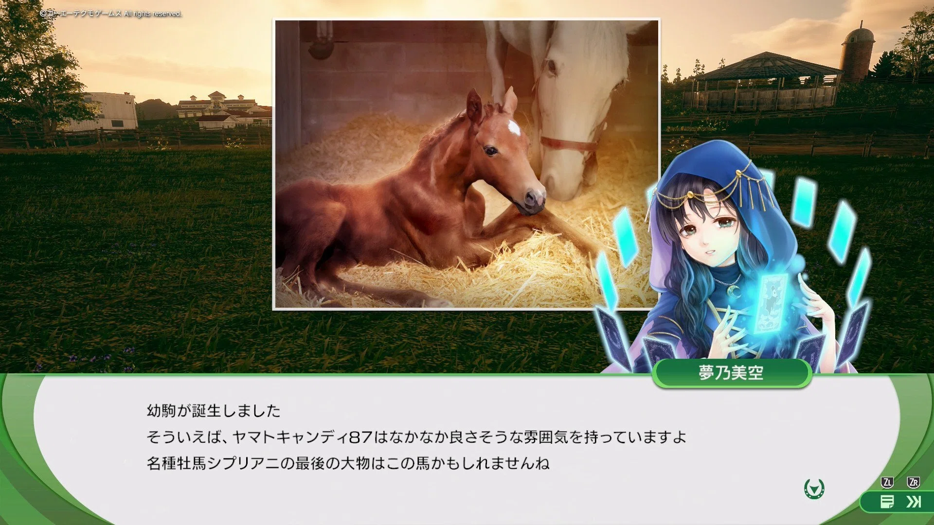 ウイニングポスト10 2026」ヒカルイマイで系統確立をする Part23｜葉月