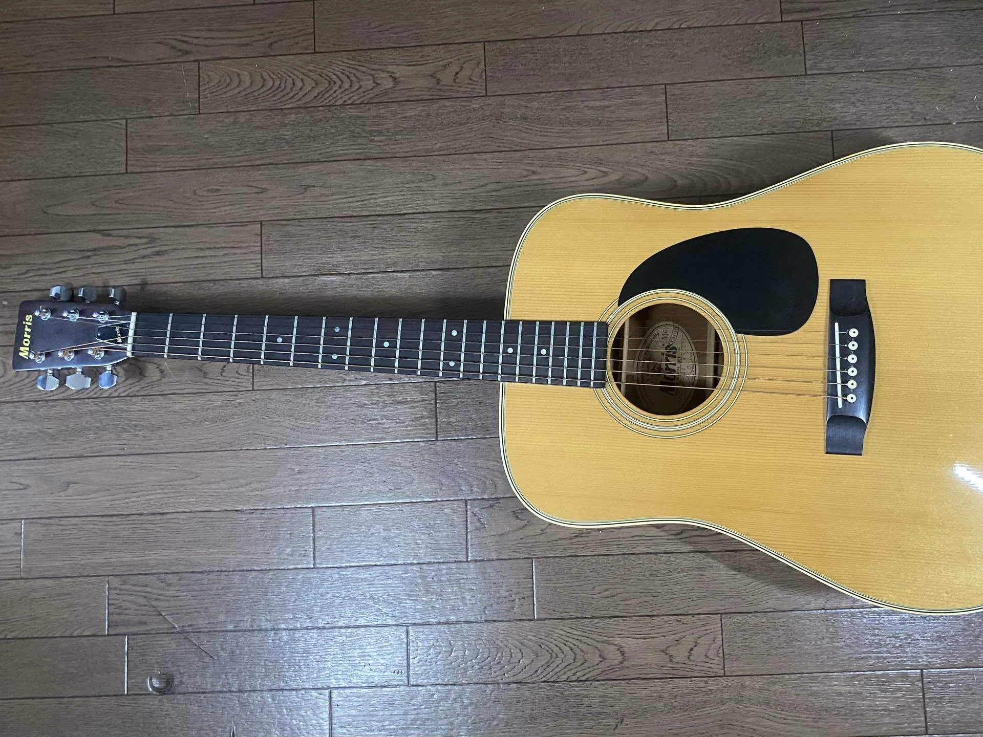 プロレビュー】7000円の中古アコギを買ってみた！ギター講師がMorris W