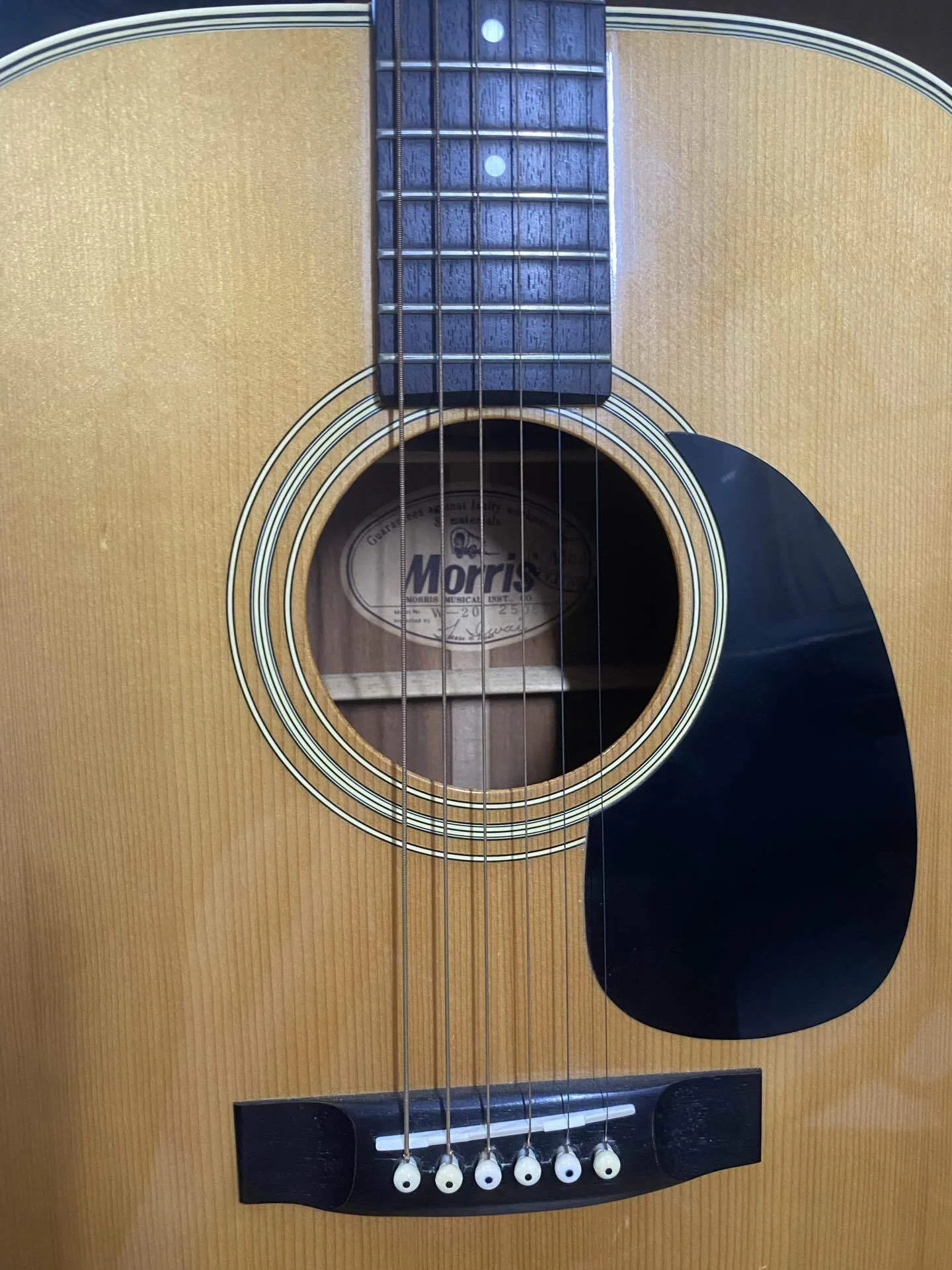 プロレビュー】7000円の中古アコギを買ってみた！ギター講師がMorris W