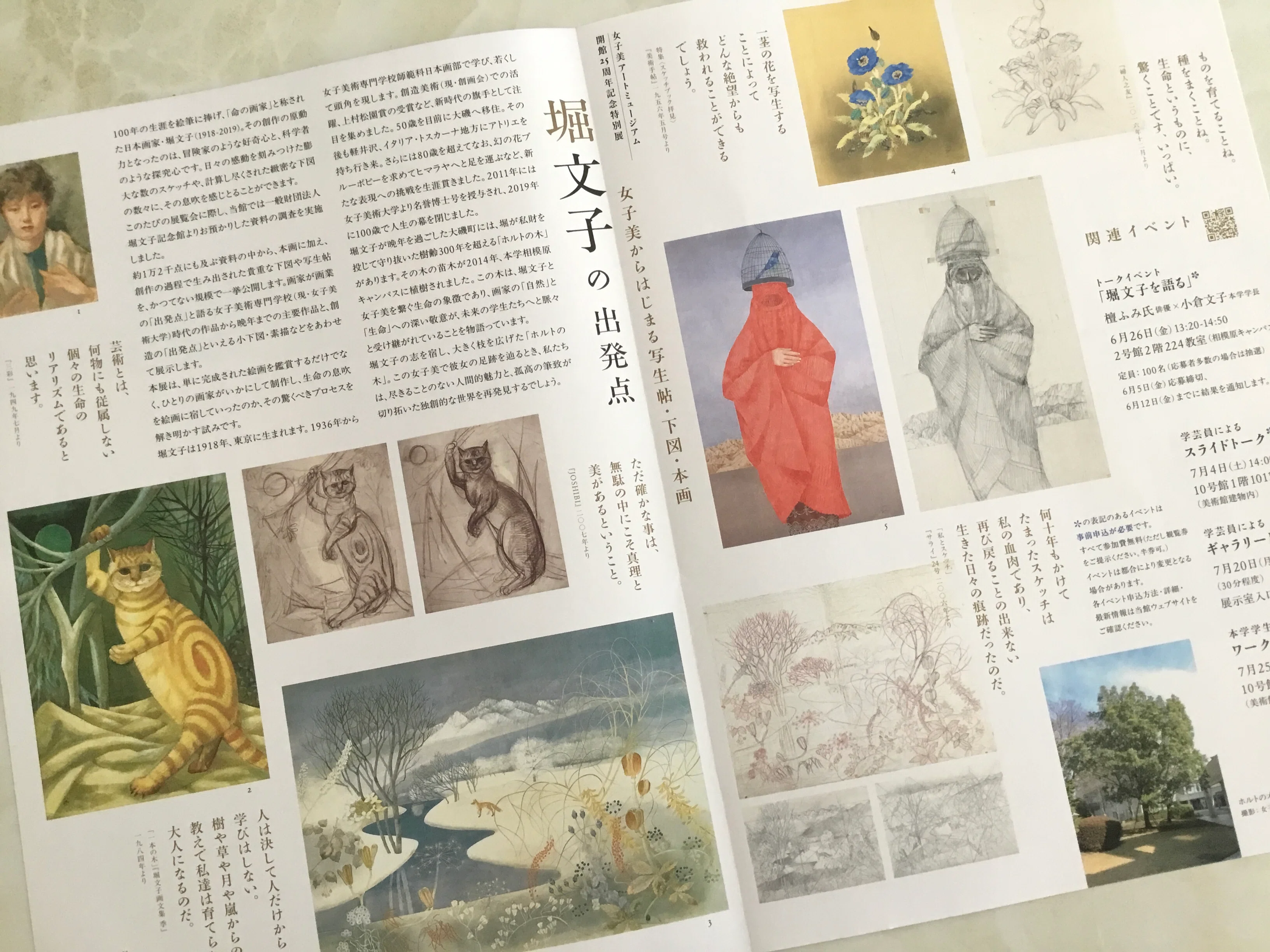 無駄の中にこそ真理と美がある」 堀文子の出発点｜フランチェスカ