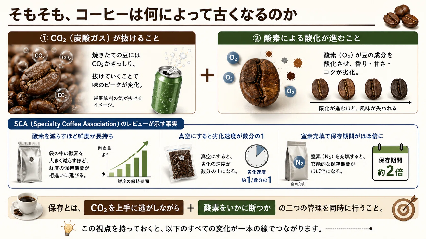 コーヒーは冷凍するな、は過去の話。保存の常識を書き換えた最新研究