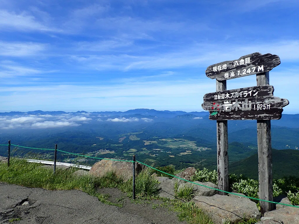 青森｜津軽富士・岩木山の雪解けに咲くミチノクコザクラ｜旅ひたき