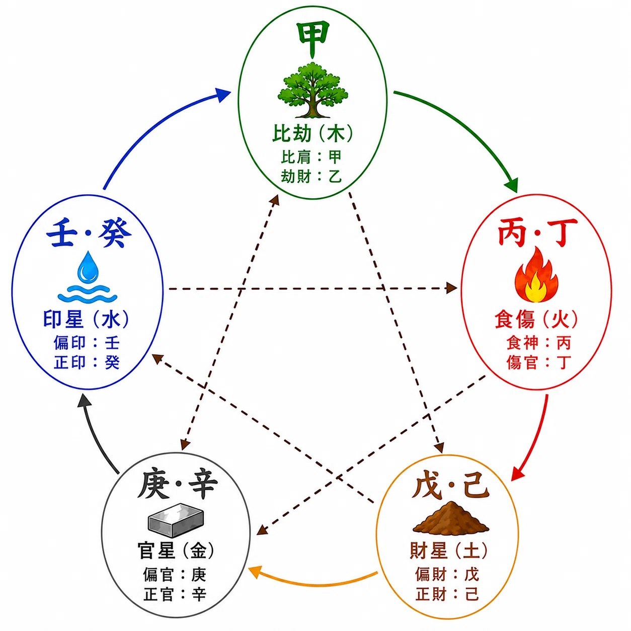 四柱推命入門⑩ 通変星の正と偏｜占いババたまき