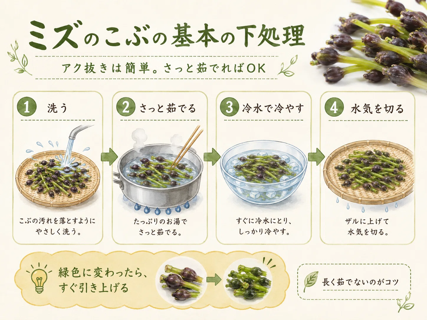 青森の山菜・ミズのこぶ】シャキシャキ、ねっとり。東北の山が育てた