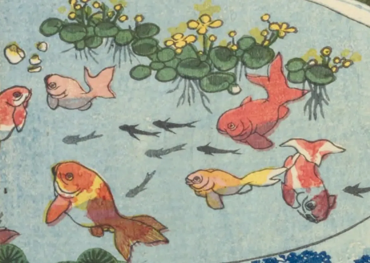 昔の日本】水鉢の中まで夏になる｜江戸の金魚ブーム｜錦絵・版本10点