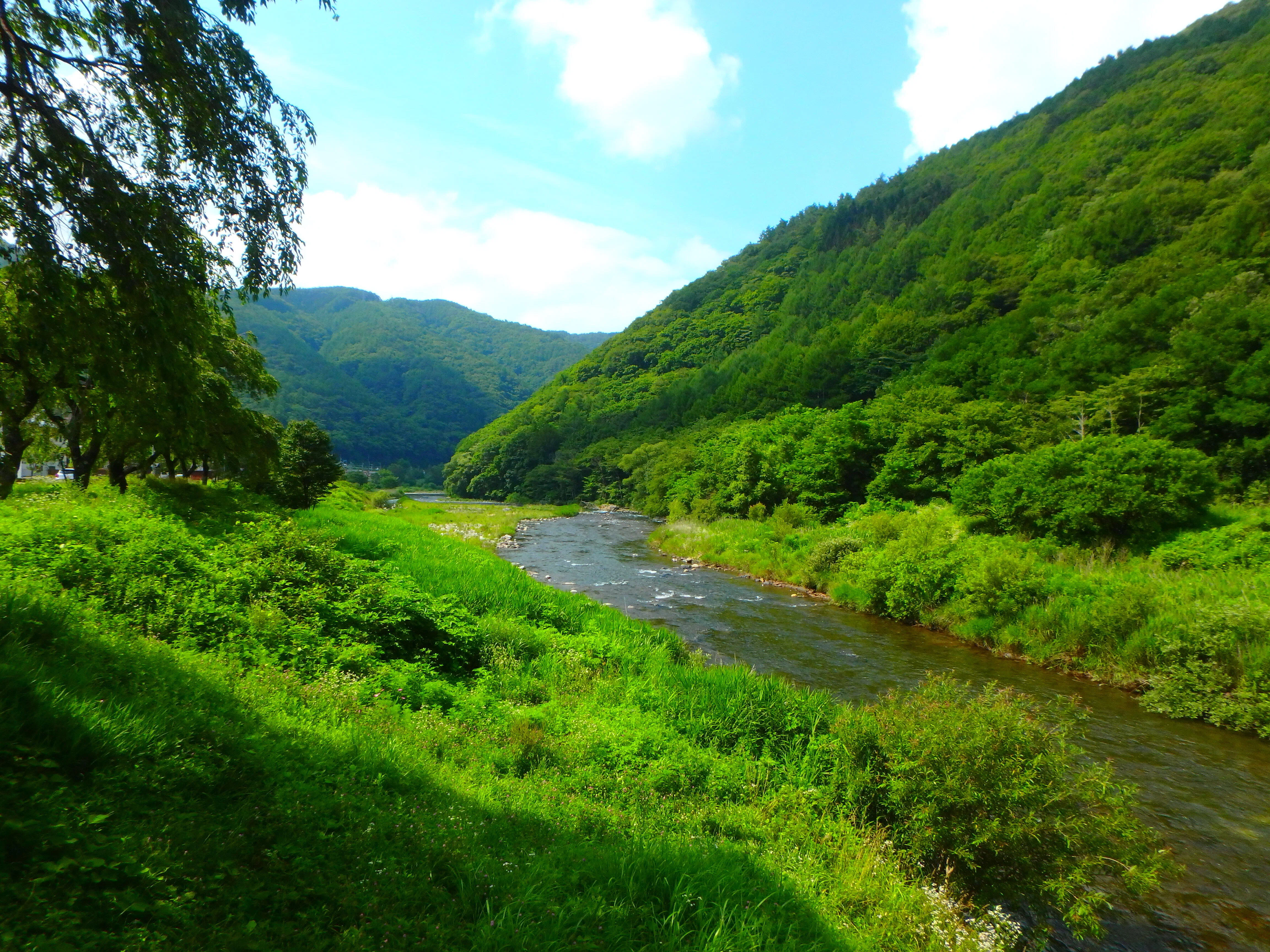 夏の安曇野・奥飛騨 渓流釣行～その1｜SW工房