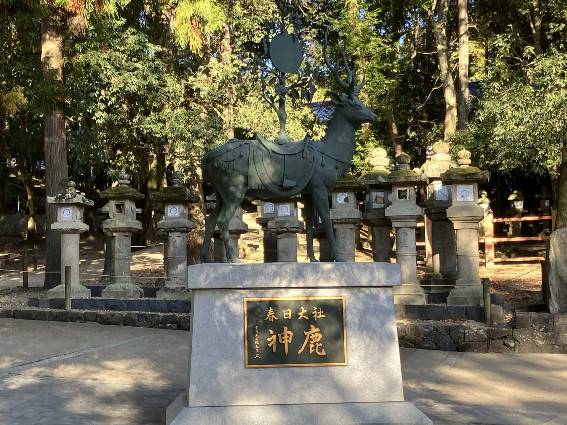 🔶私の好きな奈良：奈良の鹿 1300年続く稀有な共存は「神鹿」への尊敬