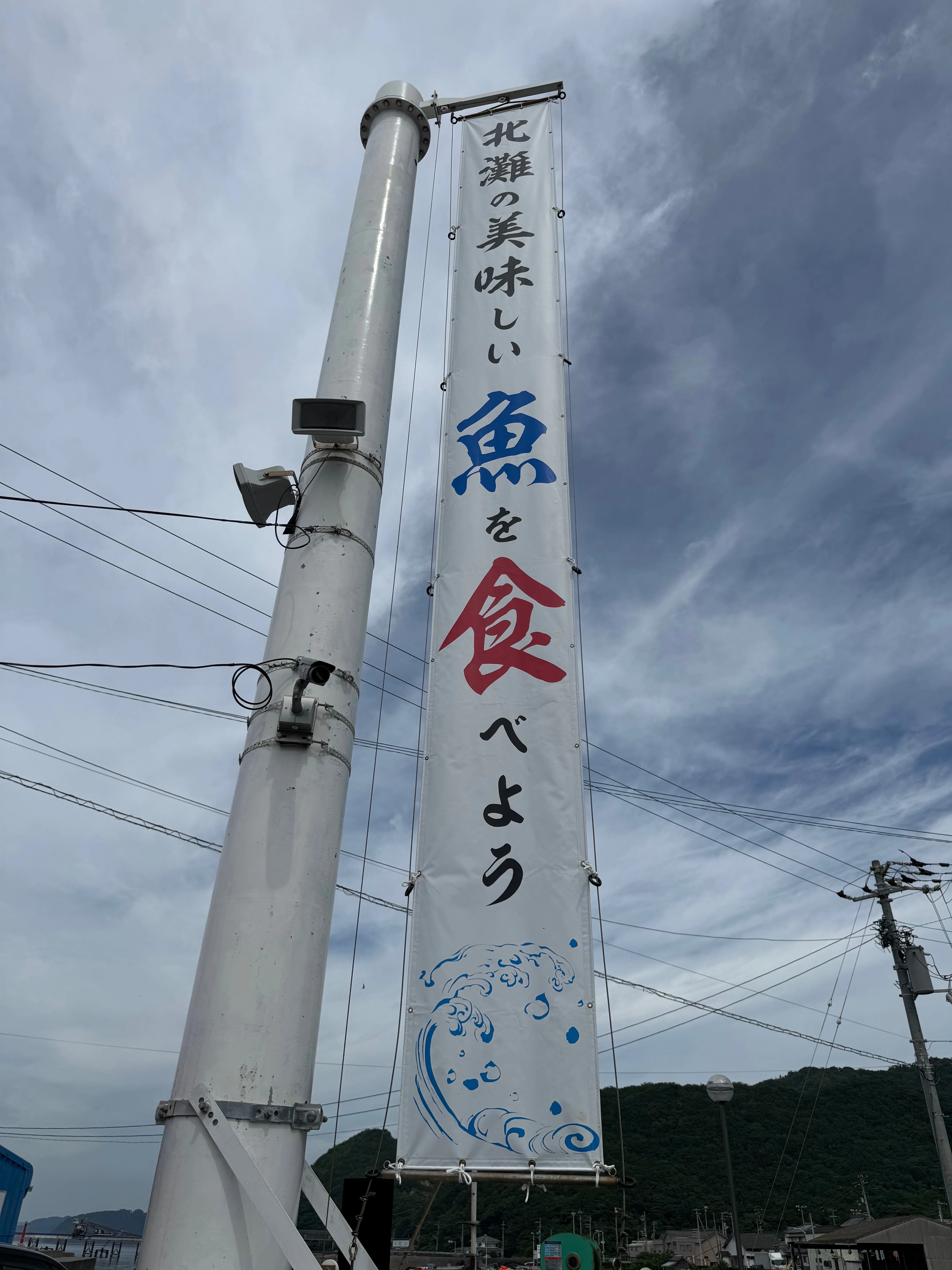 035 猫の駅長さんと新鮮な魚を堪能！ 「JF北灘さかな市」｜タビジロウ