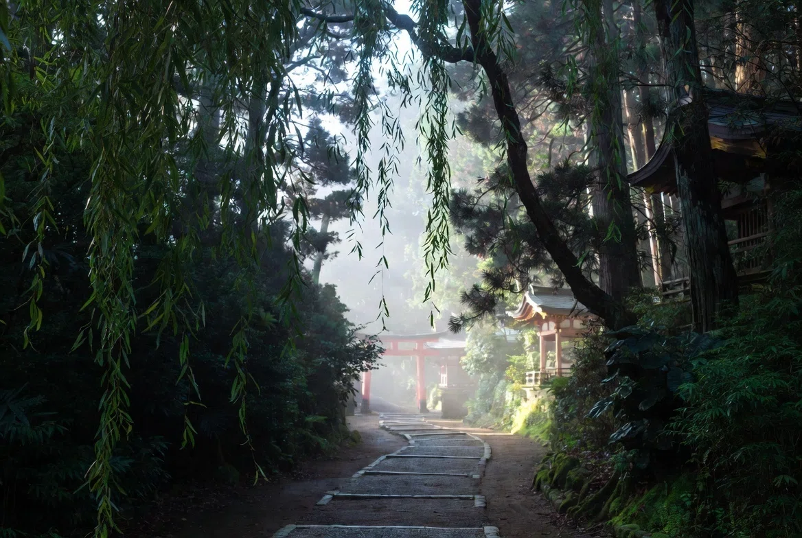 神道與佛教，讓心忽然輕鬆：第3章　兩個信仰相遇、融合的歷程 cô đơn dục vọng không thỏa mãn muốn vượt giới phụ nữ ham muốn mạnh kỷ luật triết học đêm đau đớn bóng tối tâm hồn