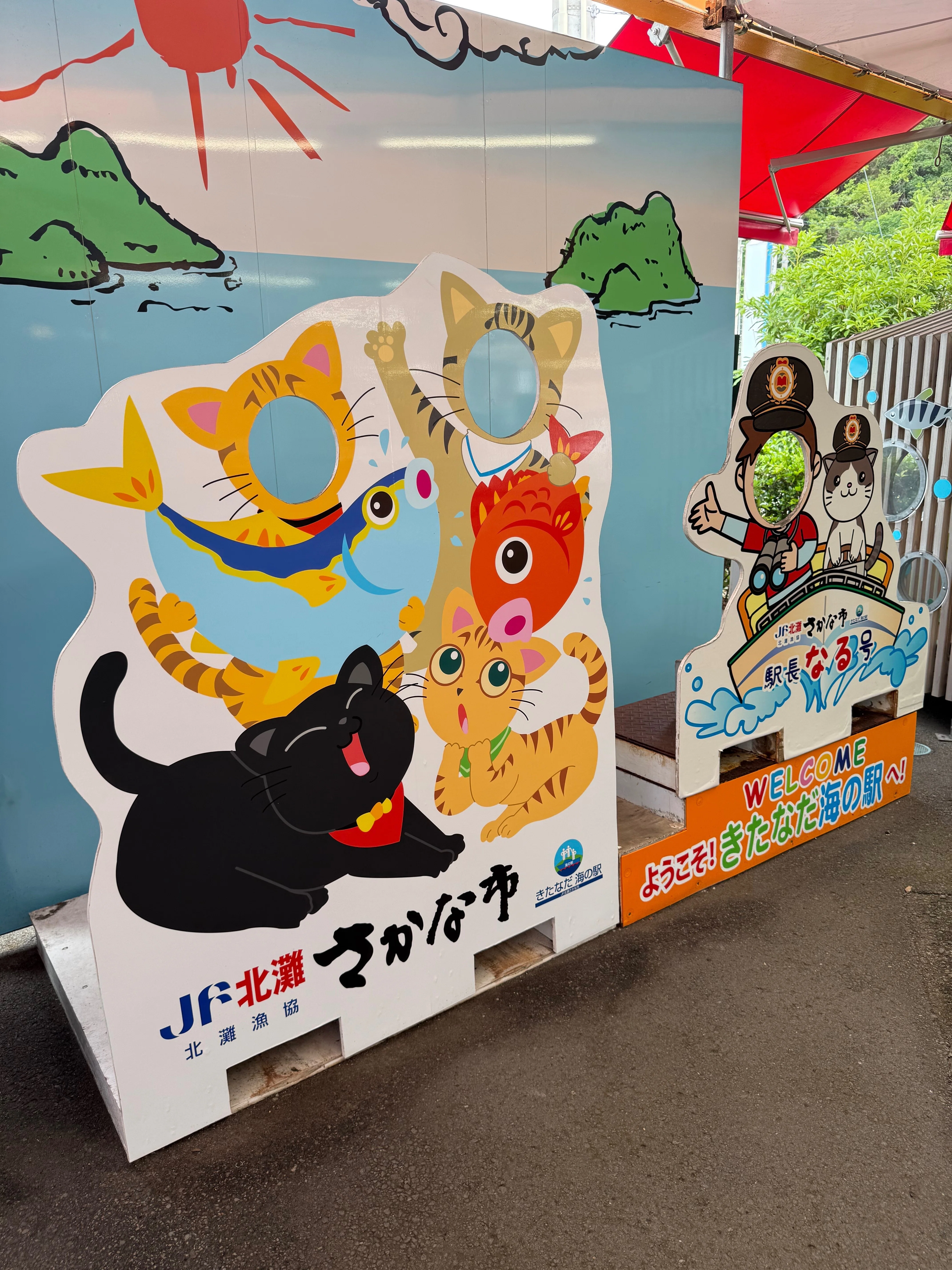 035 猫の駅長さんと新鮮な魚を堪能！ 「JF北灘さかな市」｜タビジロウ