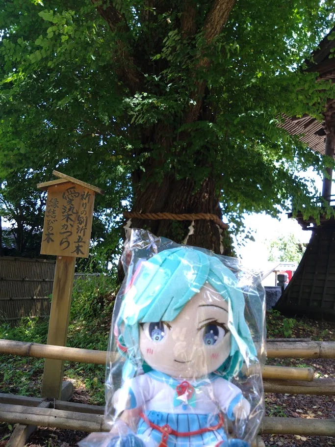 推しを迎えに別所温泉へ｜さわだ