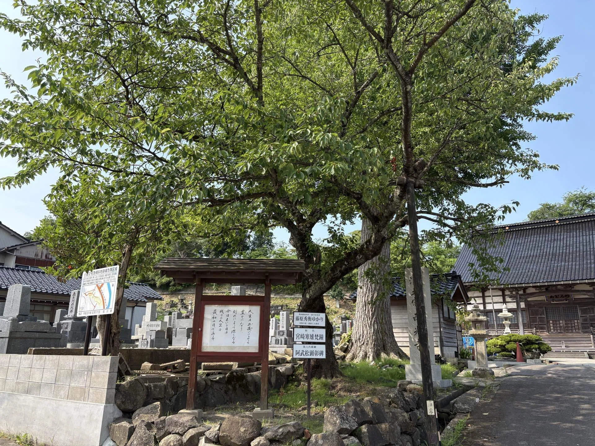 作家・西村賢太の眠る地へ【石川県七尾市 西光寺】｜安部忍