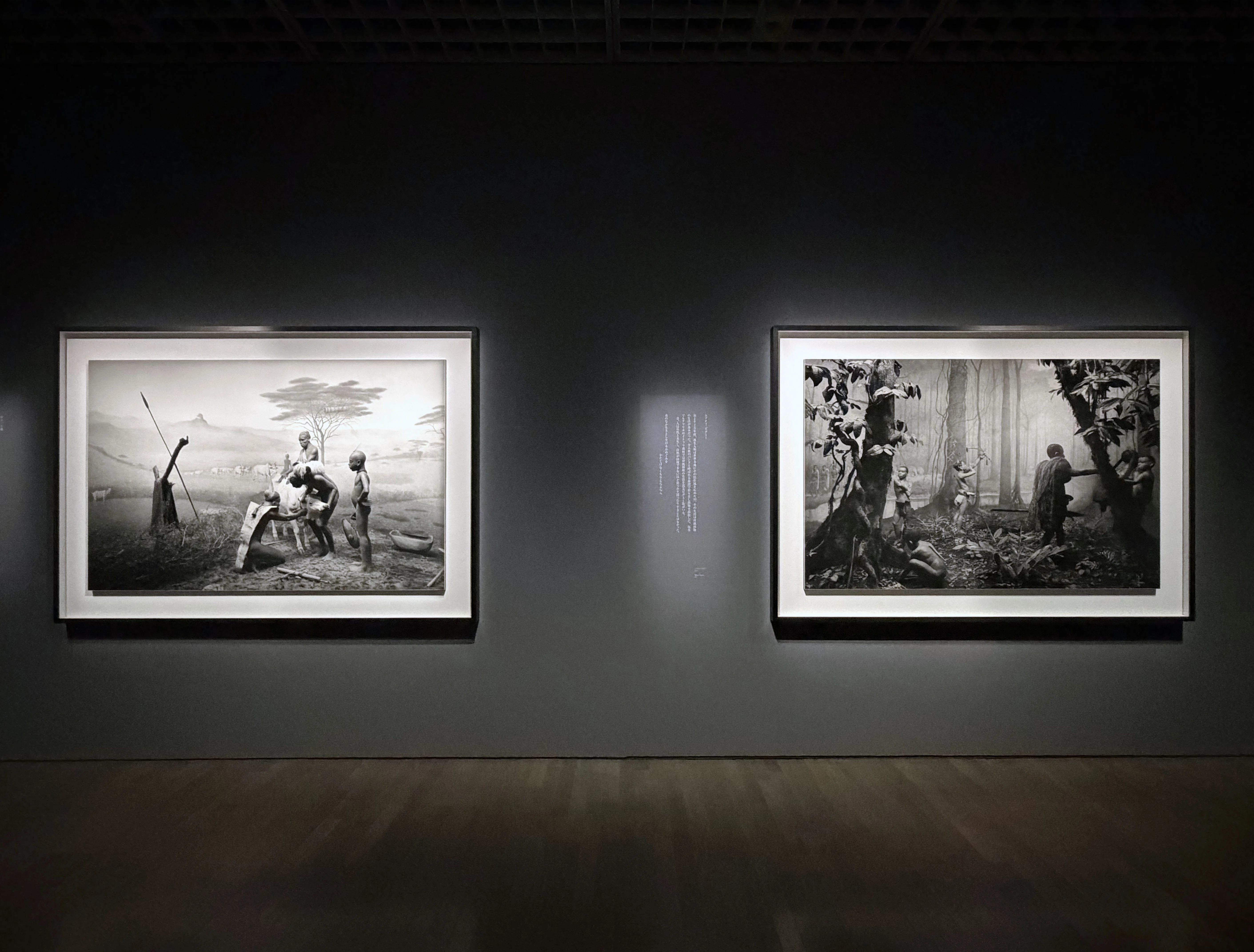 Art Exhibition 2026#46] Hiroshi Sugimoto: Endangered Photography