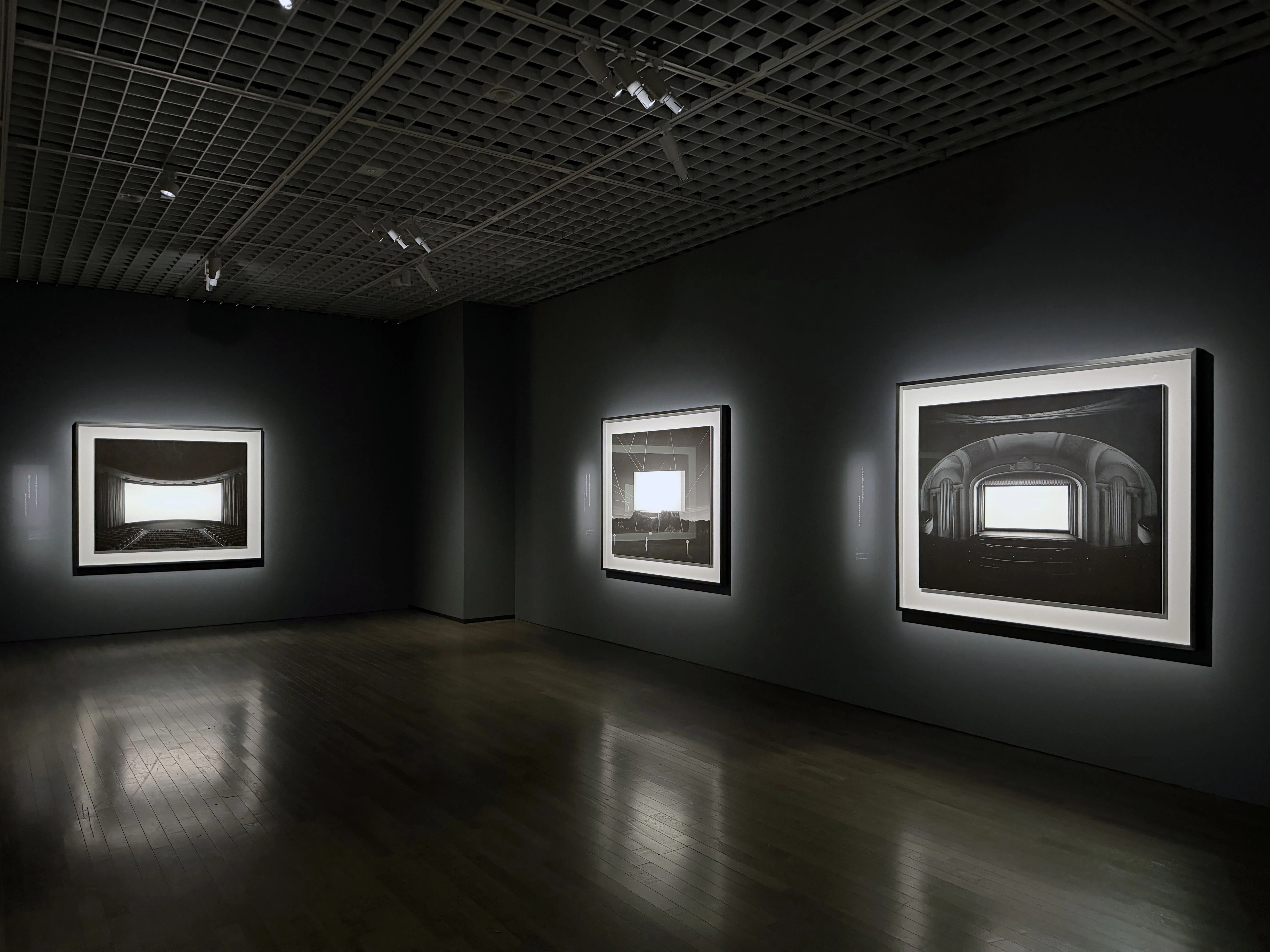Art Exhibition 2026#46] Hiroshi Sugimoto: Endangered Photography