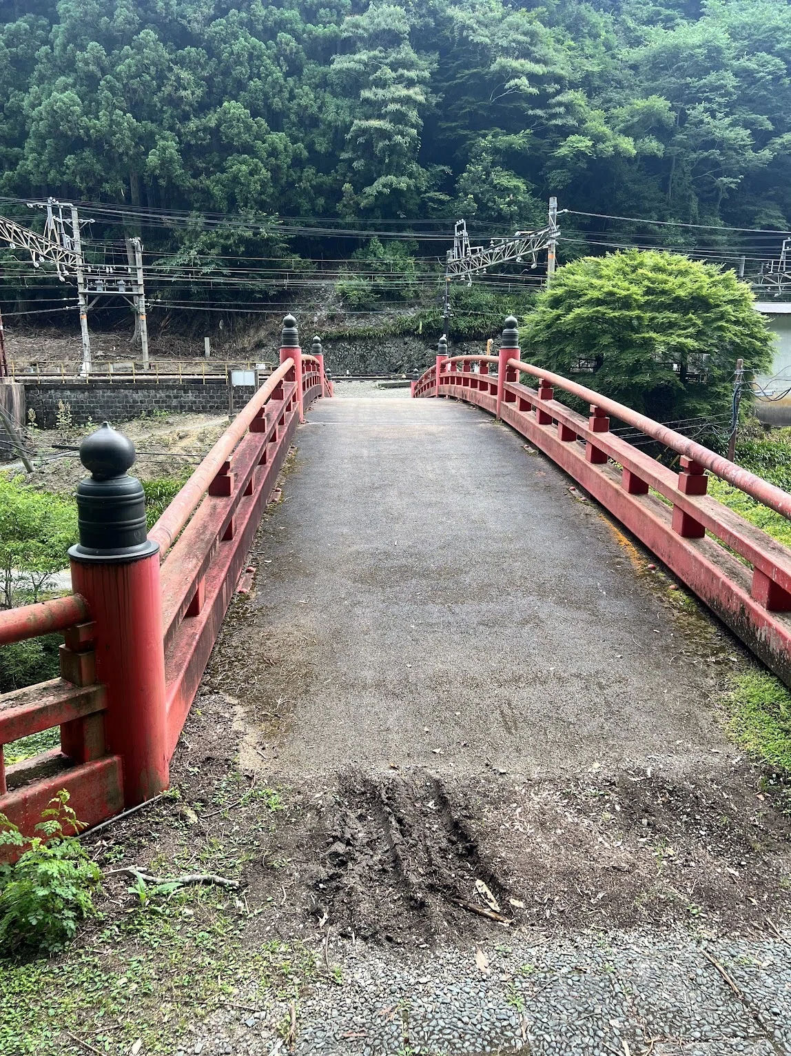 熊野古道を二年歩いて、最後に気づいたこと。｜ころは