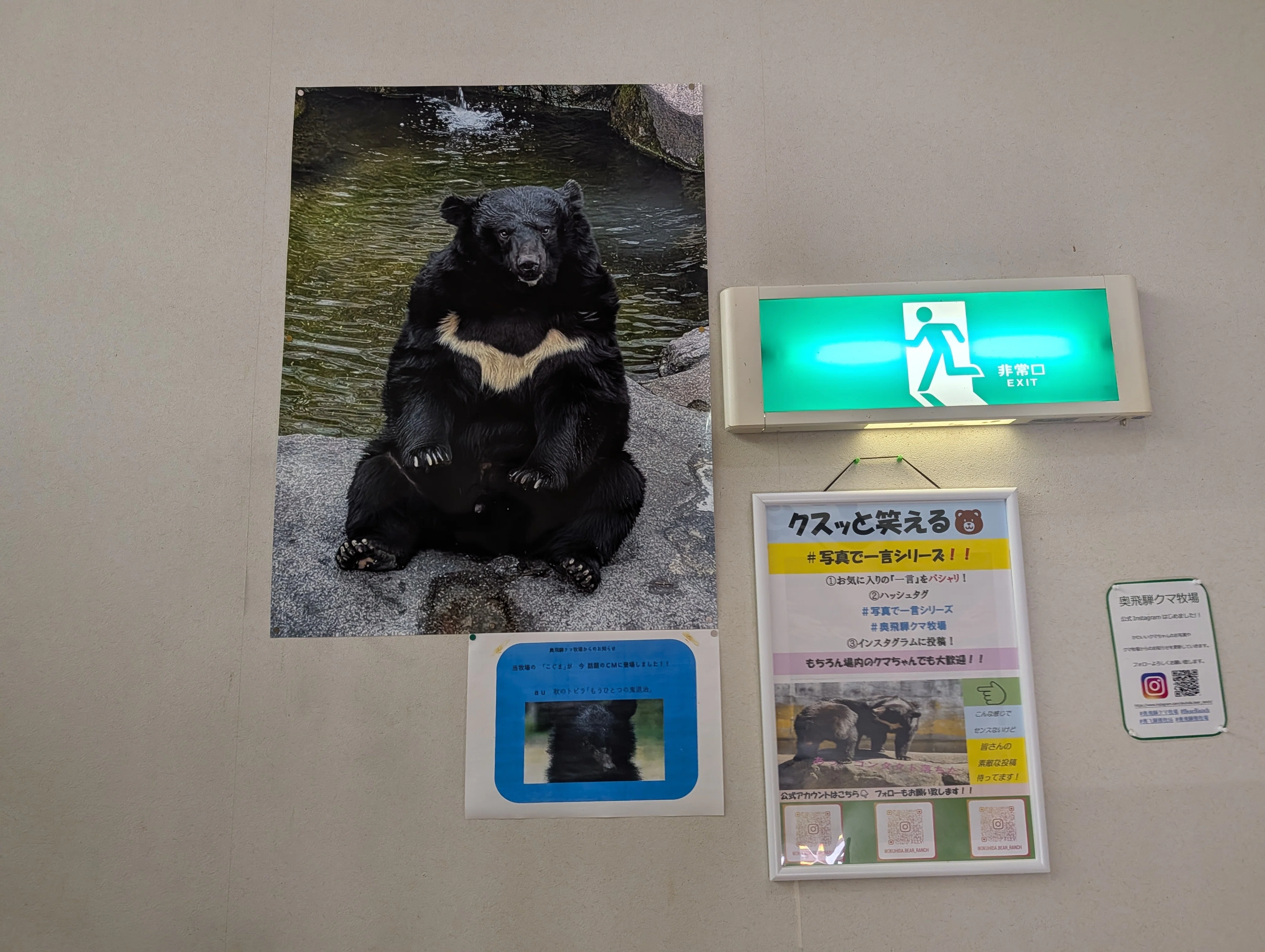 たくさん歩く(奥飛騨クマ牧場)#758｜やん（矢野達也）