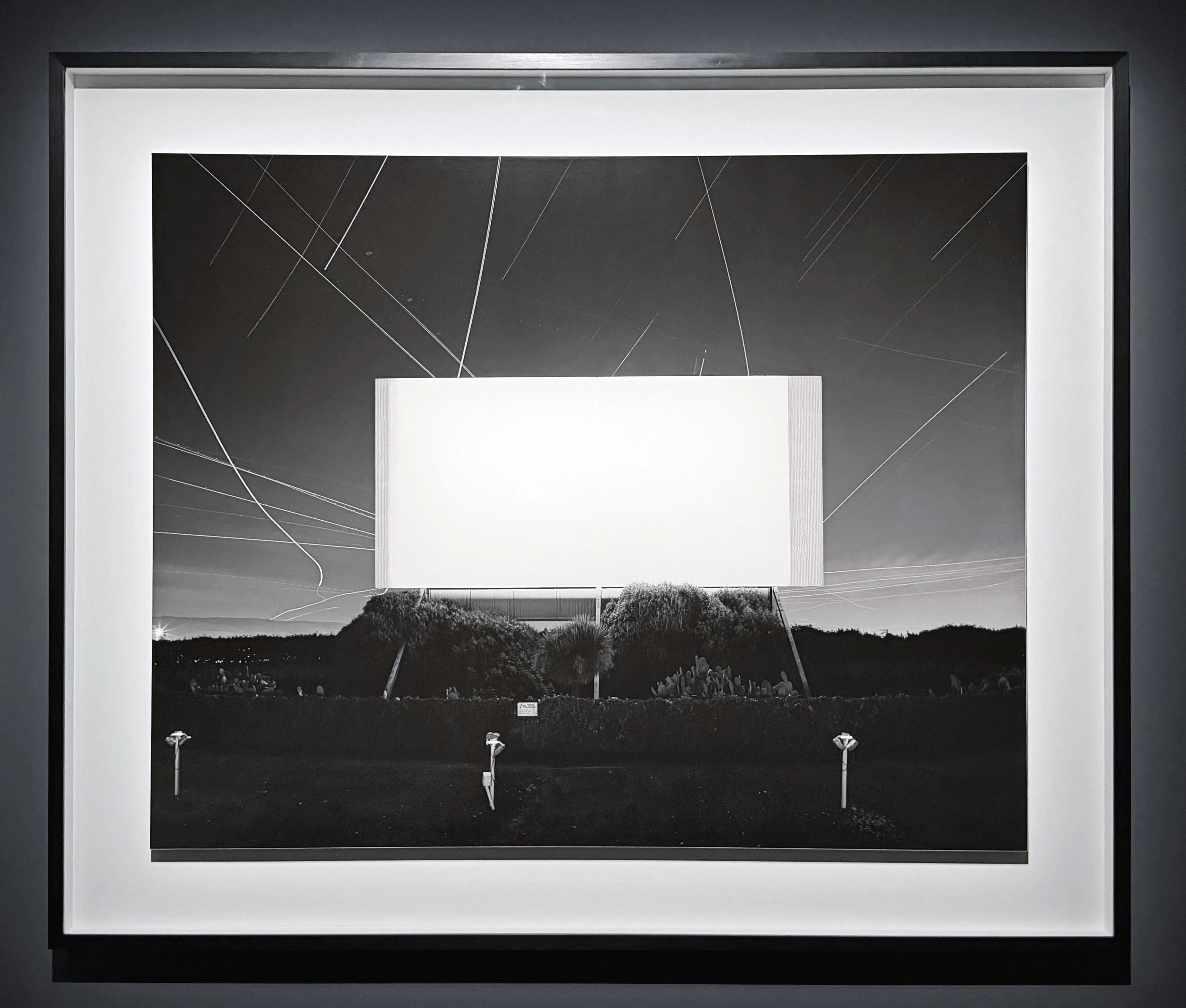 Art Exhibition 2026#46] Hiroshi Sugimoto: Endangered Photography