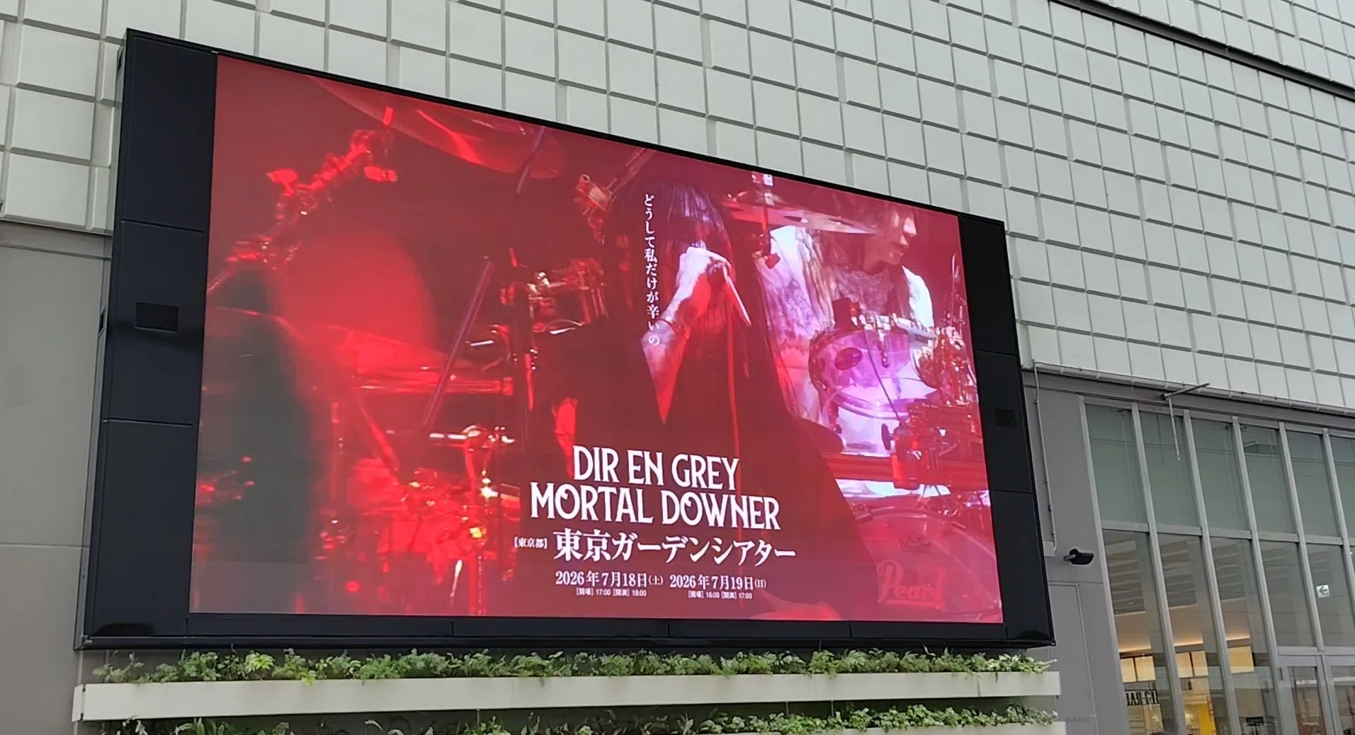 MOTAL DOWNER 東京ガーデンシアター｜K(Kei)