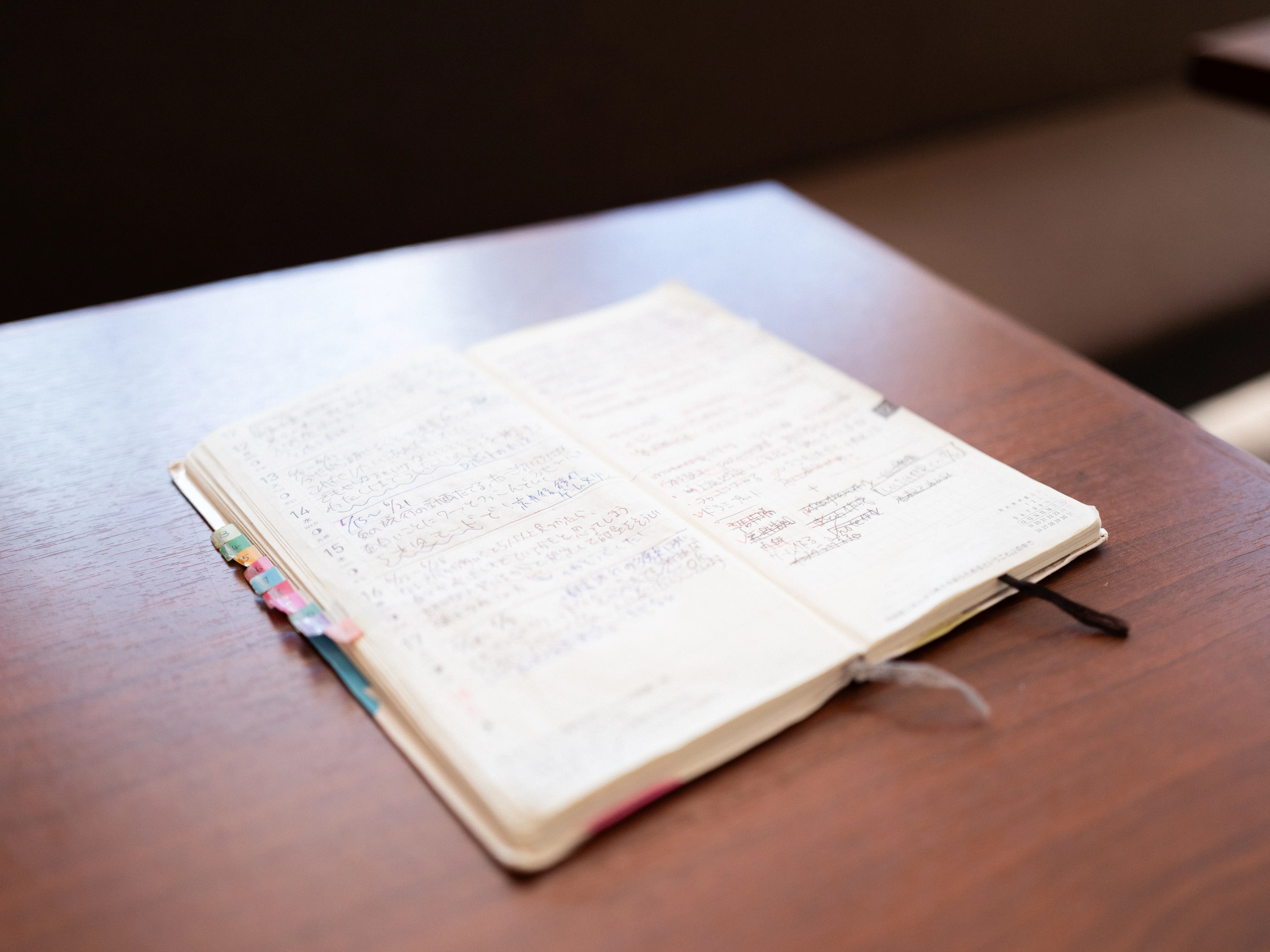 占い師のしいたけ.さんと往復書簡をはじめます｜岸田奈美｜NamiKishida