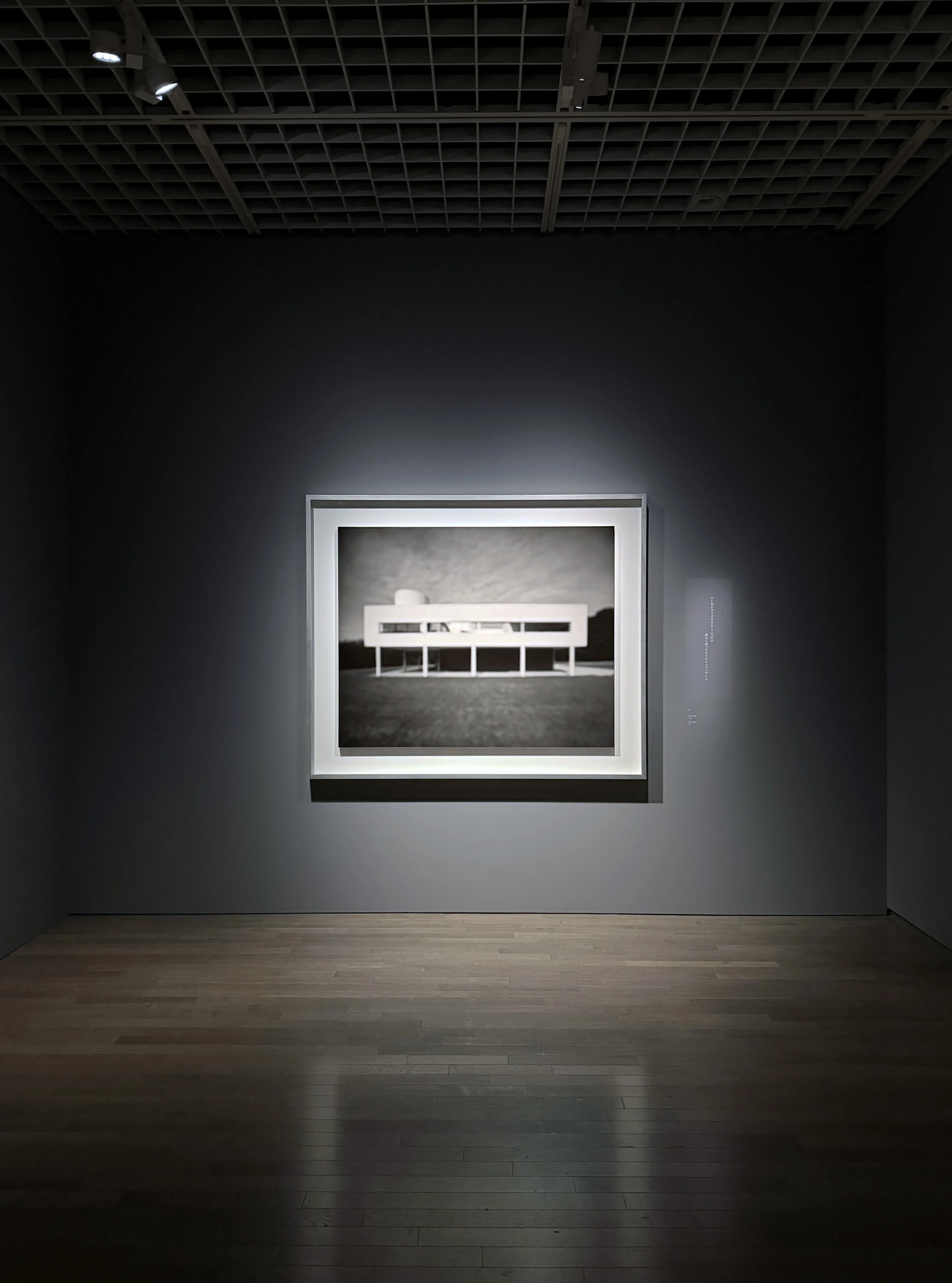 美術展2026#46】杉本博司 絶滅写真@国立近代美術館｜mata