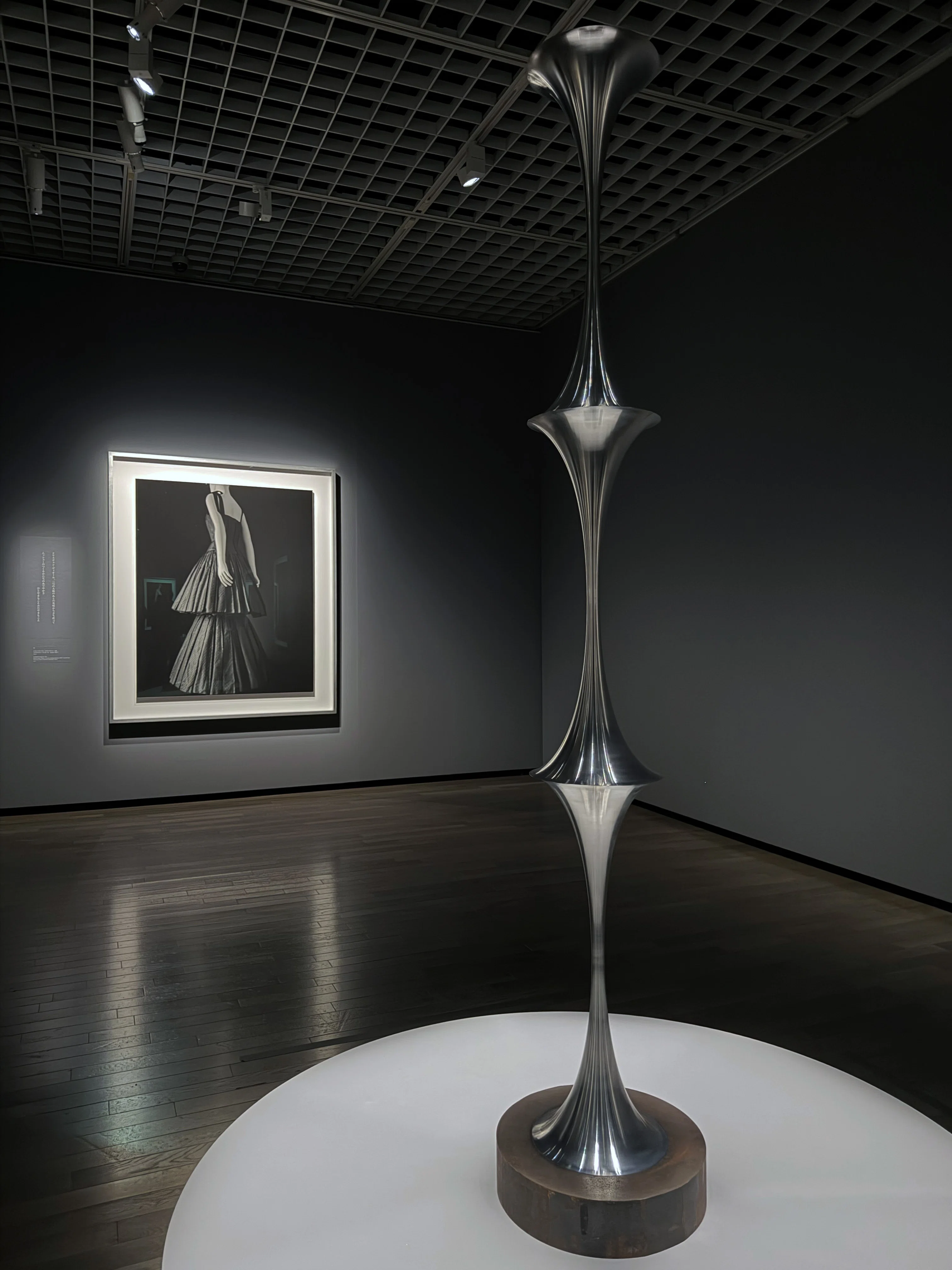 Art Exhibition 2026#46] Hiroshi Sugimoto: Endangered Photography