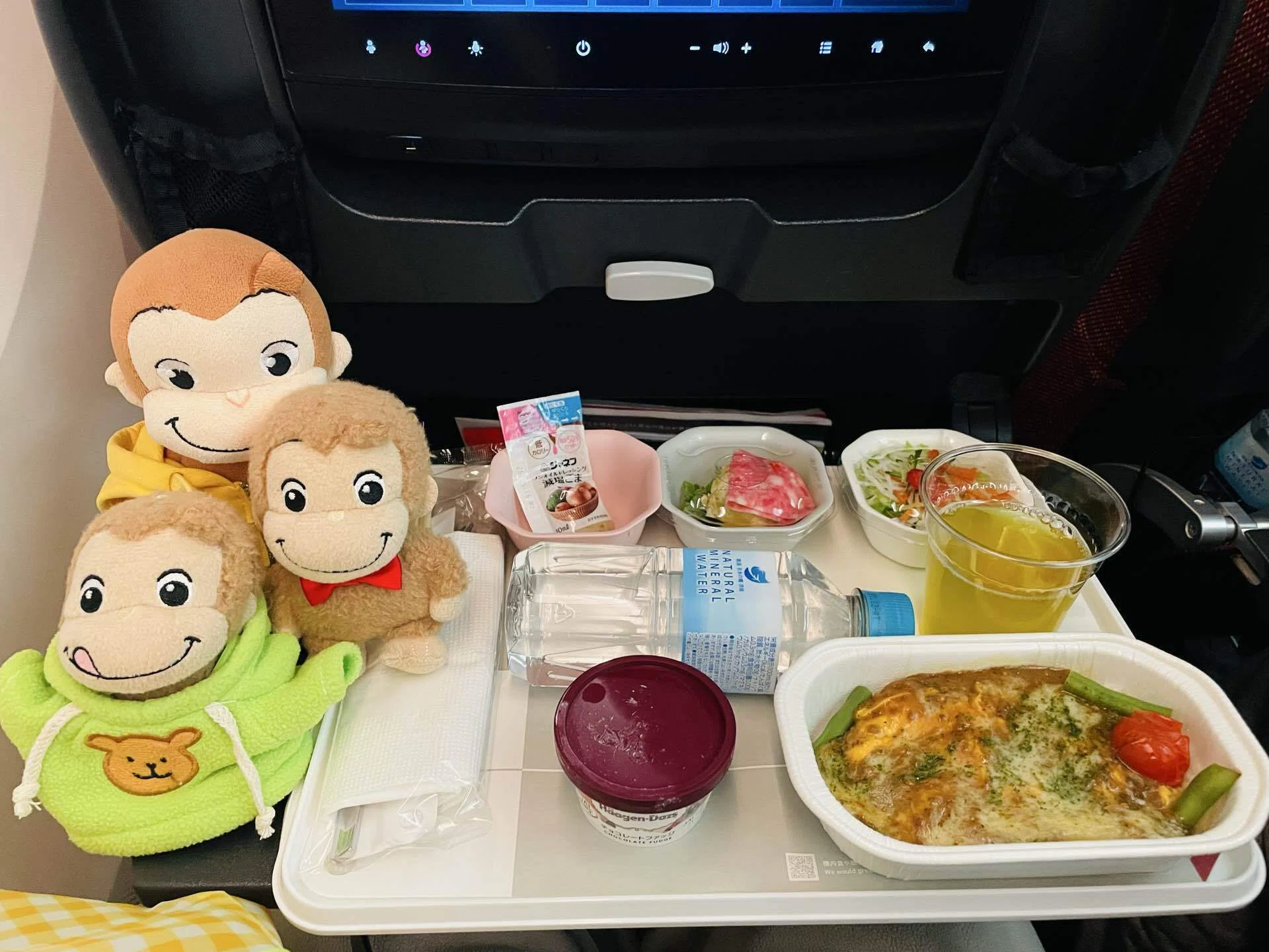 ハワイ】JAL！関空発ホノルル便エコノミー搭乗記（B787-9）マタ旅