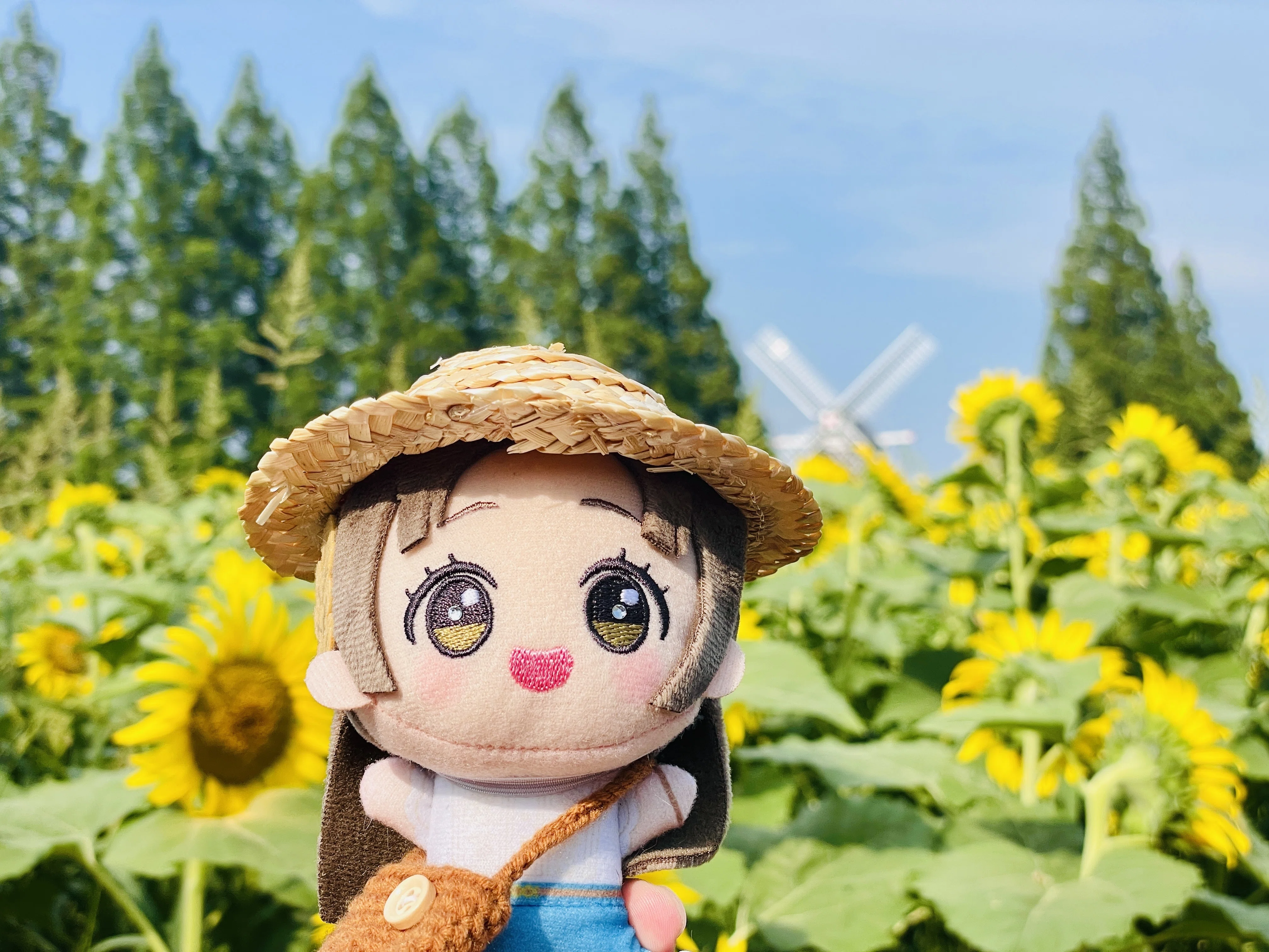 ひまわりを見に行ったよ｜かくす