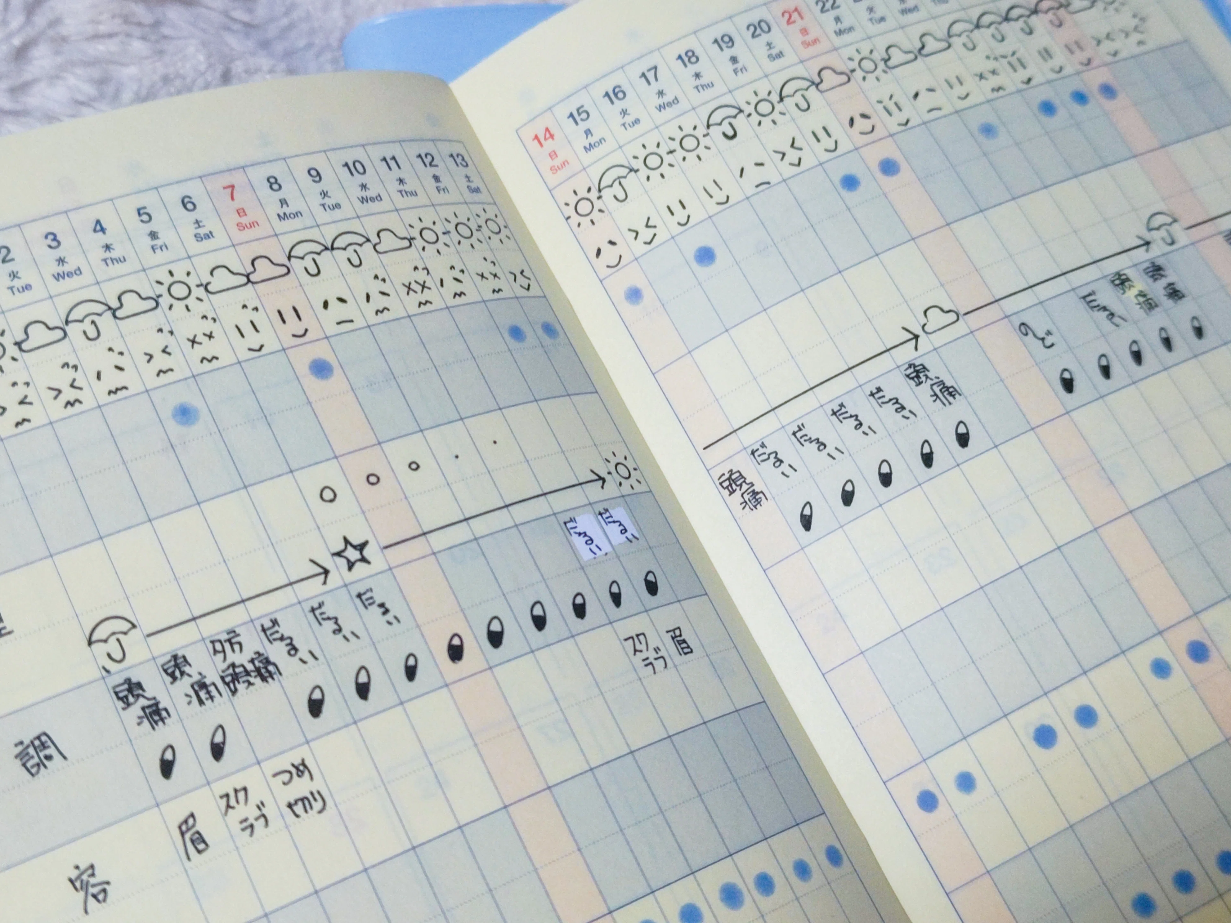 【中古】 自分でつくる遠足手帳 手帳】半年使用の振り返り①｜蒼幻しいか