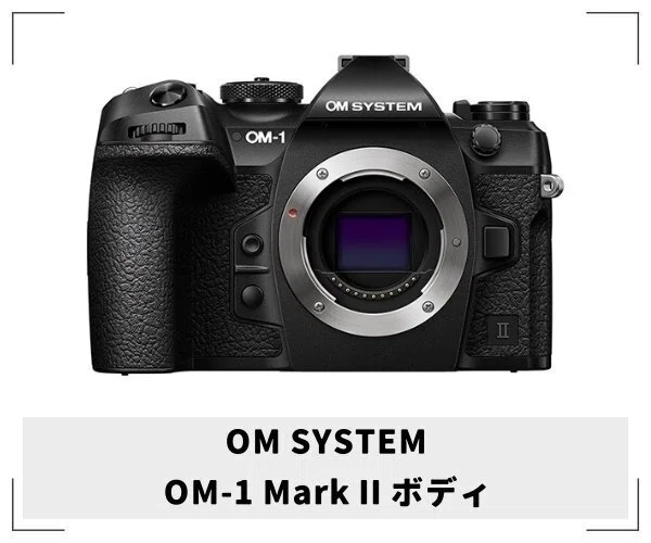 圧倒的な解像感に震えた｜OM-1 Mark II + 300mm F4.0｜実写レビュー
