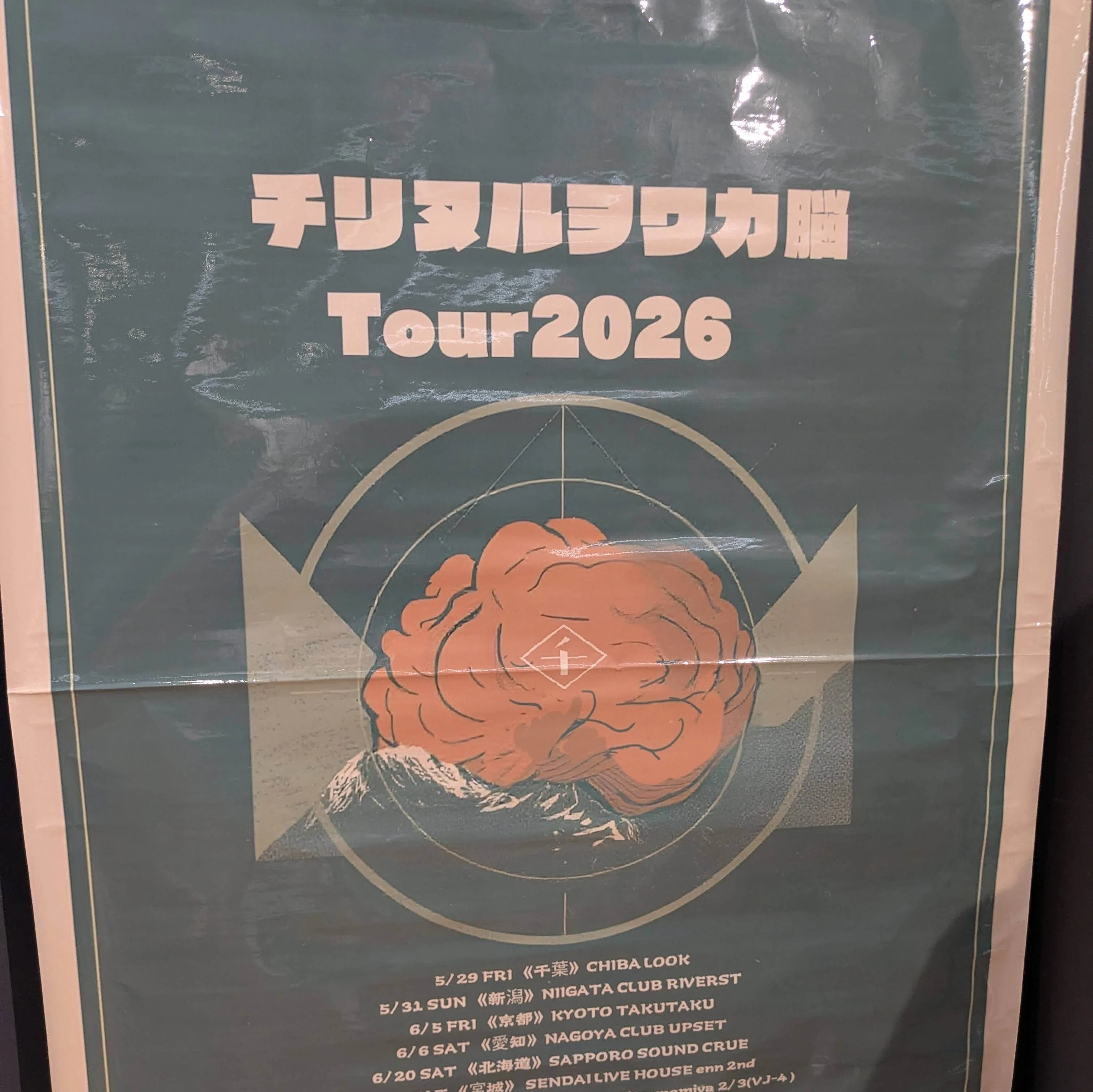 【激レア】ライブ参加者配布CD-R ／ チリヌルヲワカ 覆面バンド チリヌルヲワカ」ファン活動進捗：“チリヌルヲワカ脳Tour2026”個人的