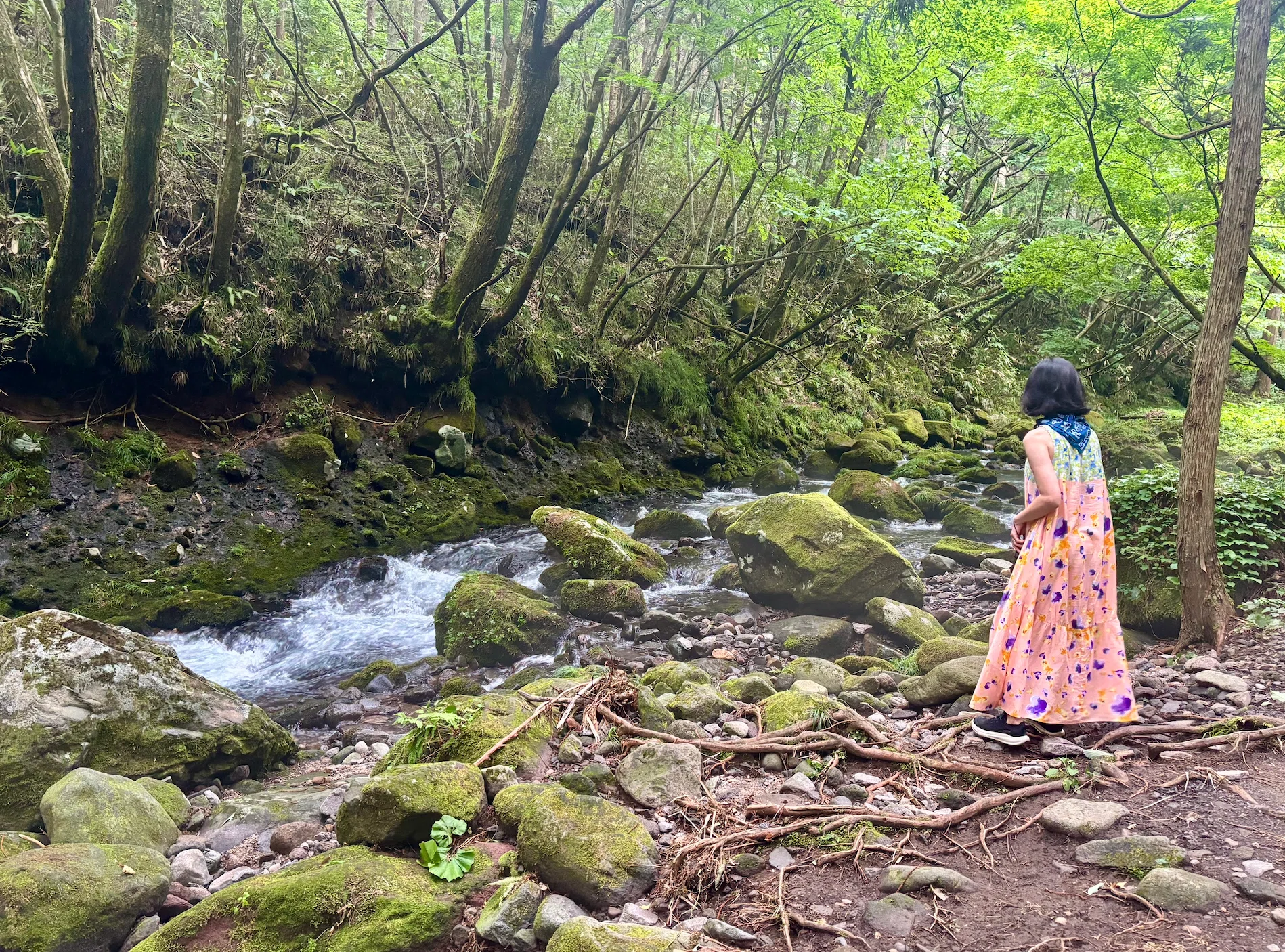 元滝伏流水🏞️秋田👹｜きむあやこ