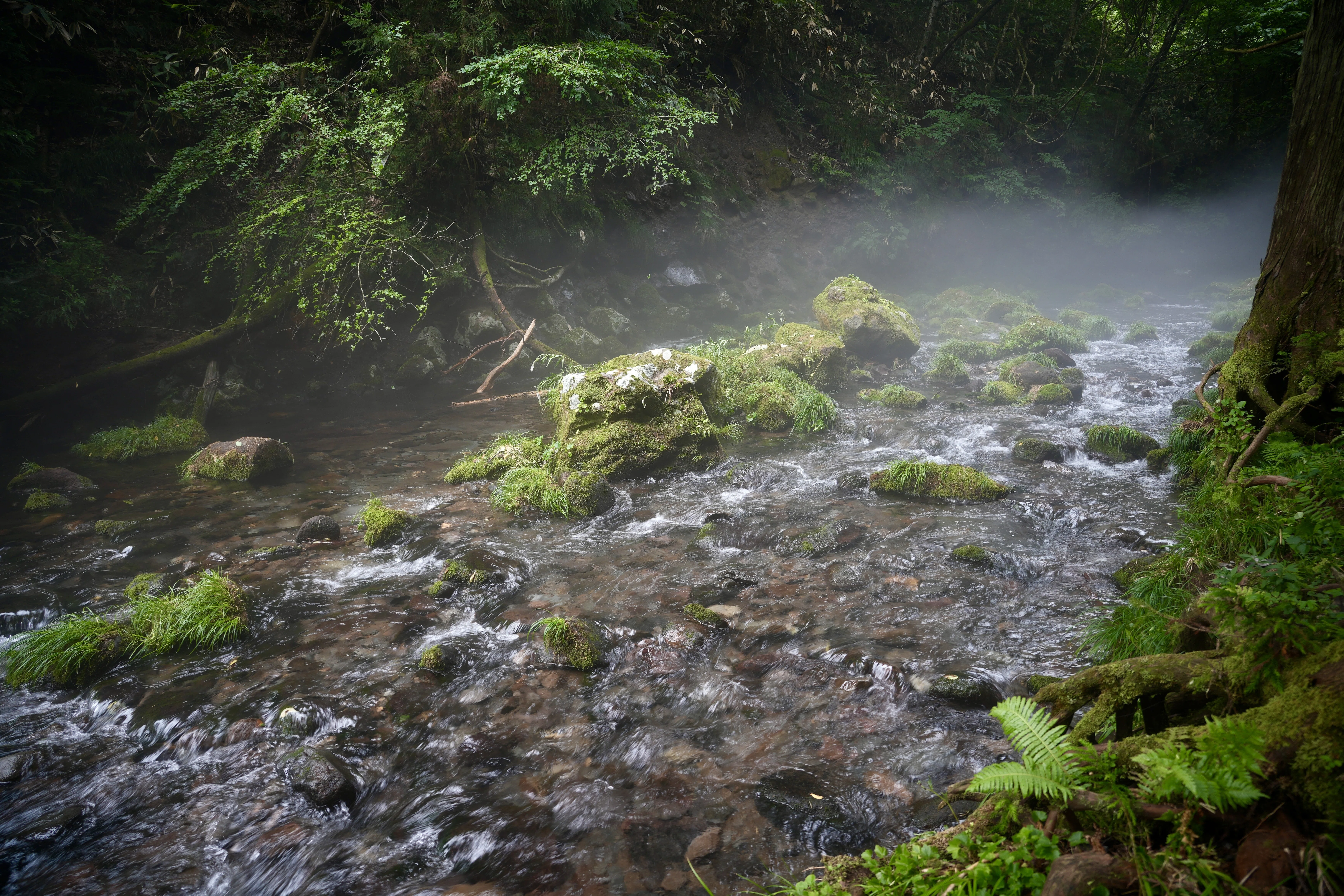 元滝伏流水🏞️秋田👹｜きむあやこ