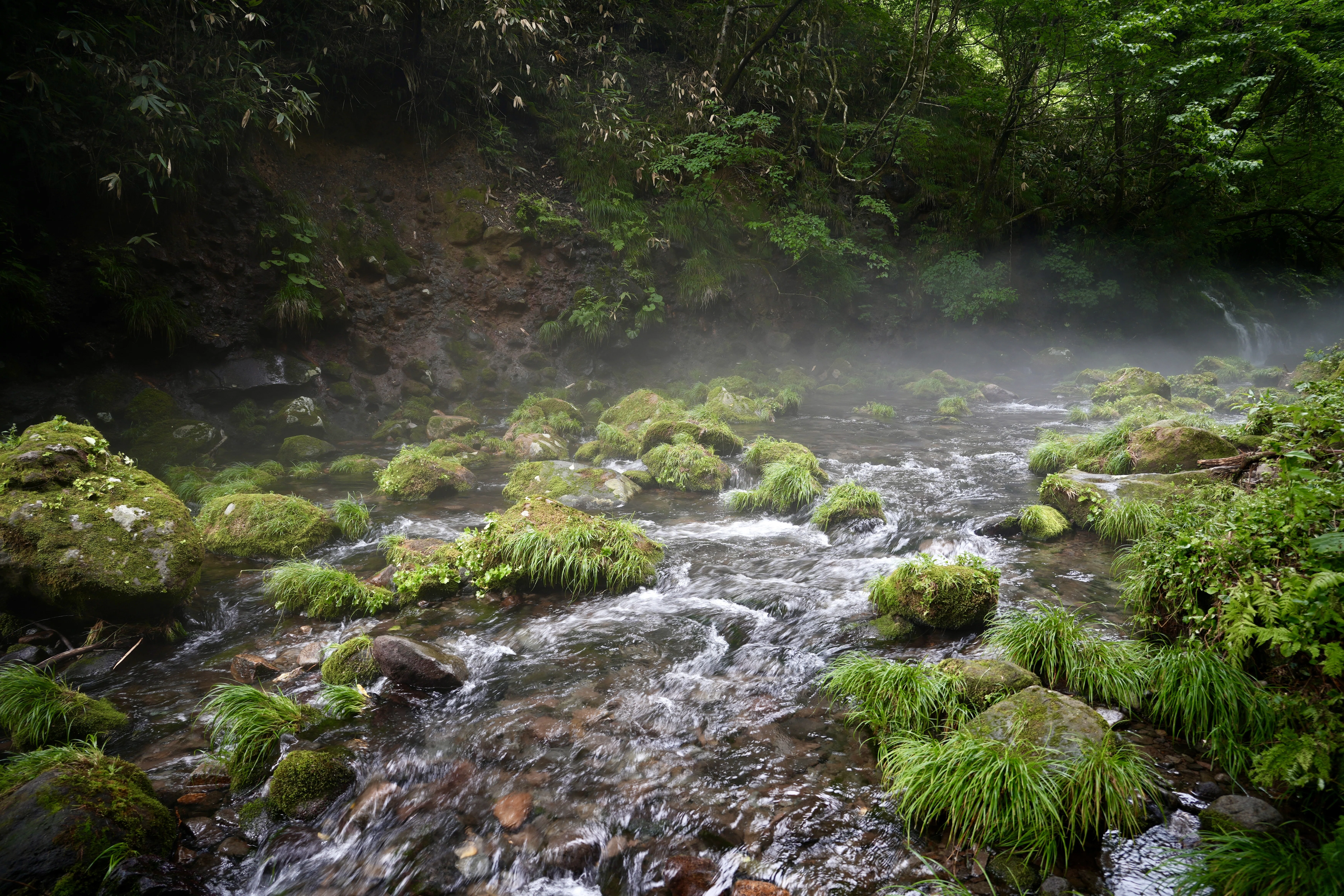*雨の日セール*宮城峡2000s+ 新川伏流水仕込 Miyagikyo 2本 雨の日セール*宮城峡2000s+ 新川伏流水仕込 Miyagikyo 2本 新川伏流水