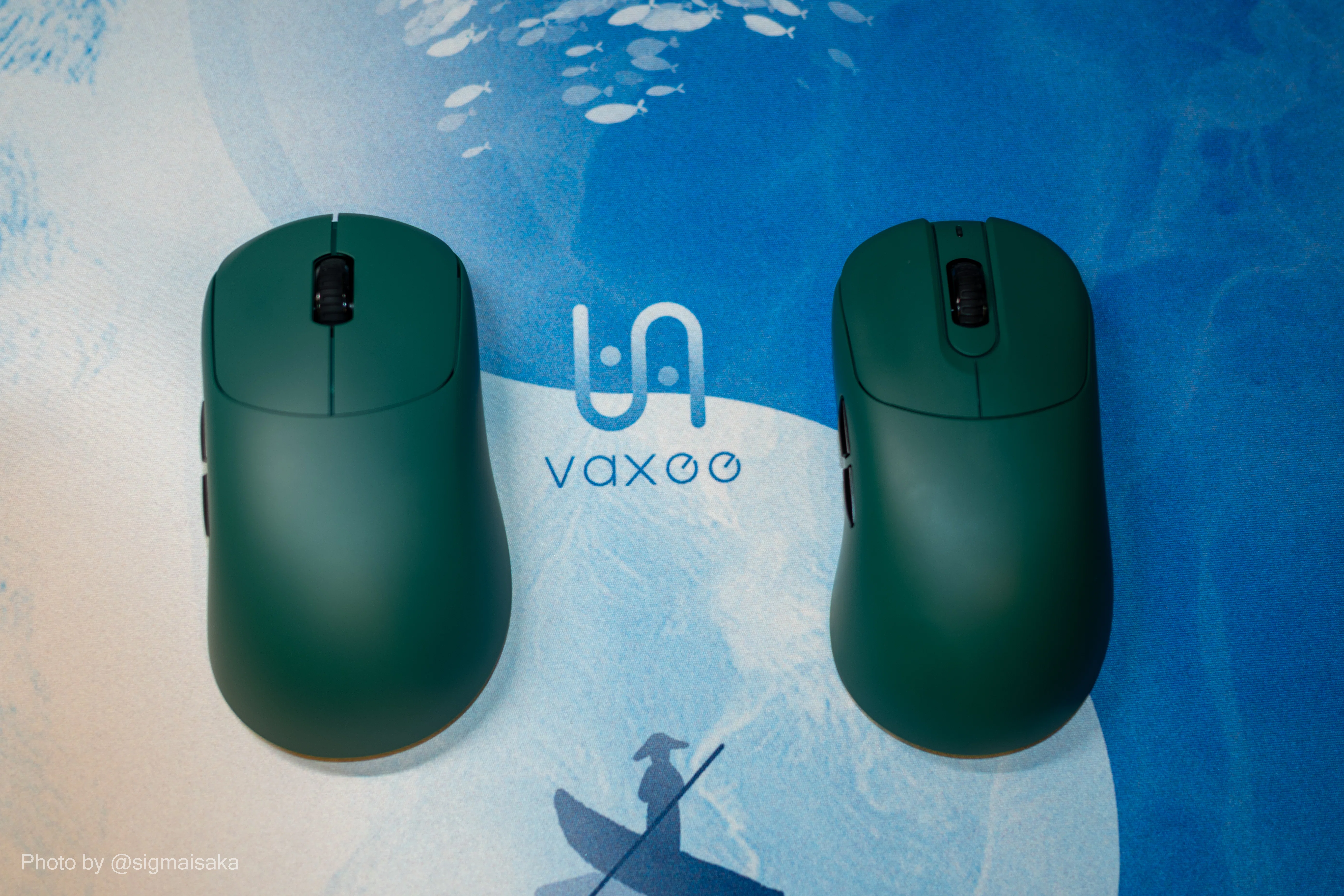 競技用マウスを下手が使ってみた やんわりエルゴ編【VAXEE NP-01 Ergo