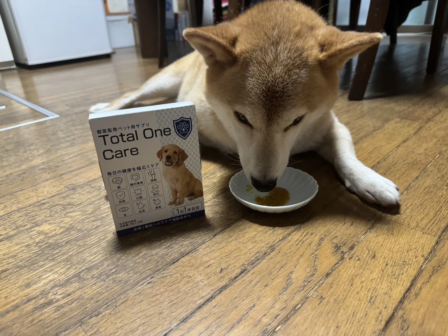 TotalOneCare（トータルワンケア）の口コミ・評判は本当？シニア犬の