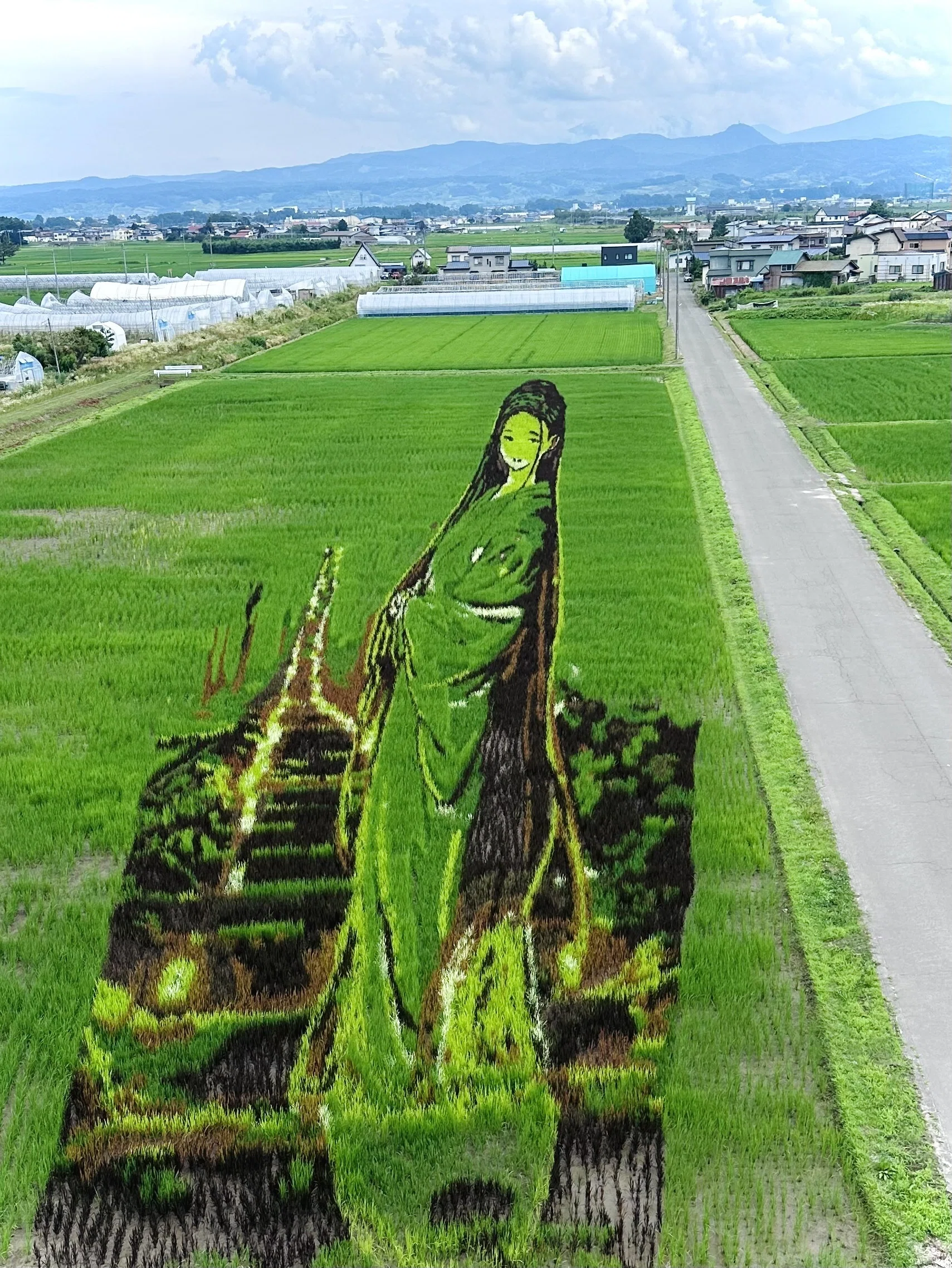 世界遺産白神山地③田舎館村田んぼアート｜okunoist