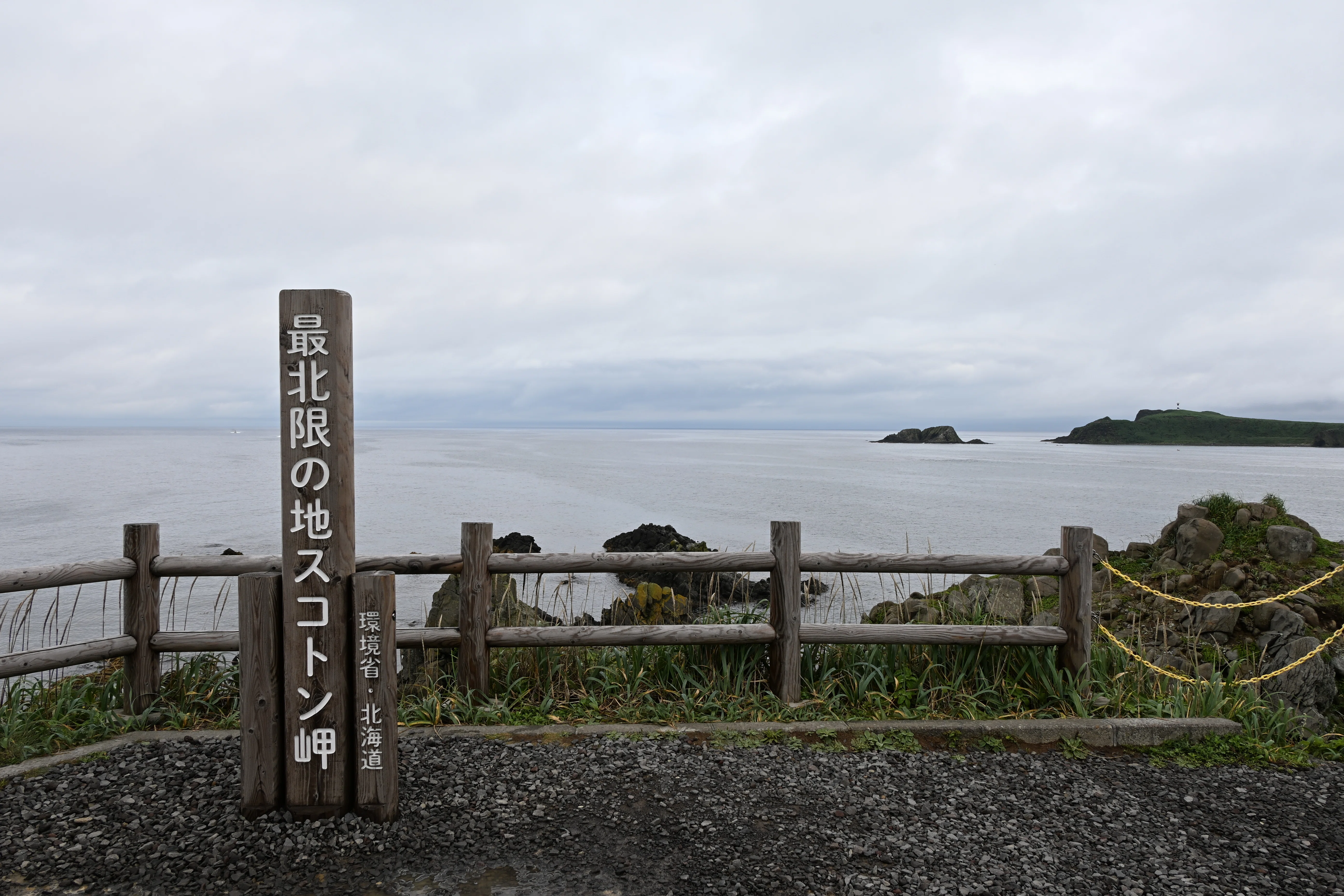 20260719_礼文島（1/3）【Nikon Z50IIと観光】｜山ネズミ