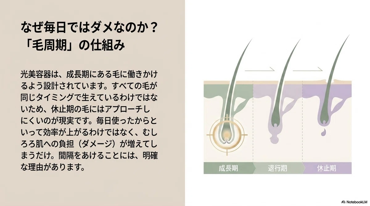 家庭用脱毛器の頻度:なぜ毎日ではないと言われるのか