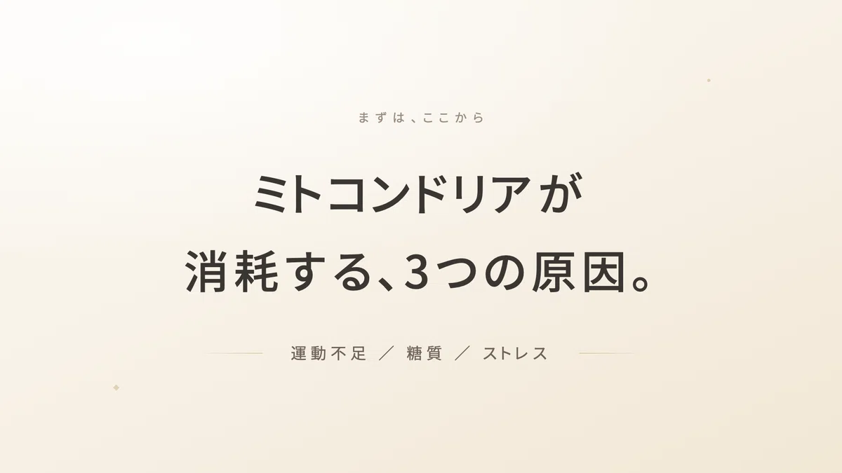時間栄養学_サーカディアンリズム_クロノニュートリション_遺伝子 | 精密栄養学