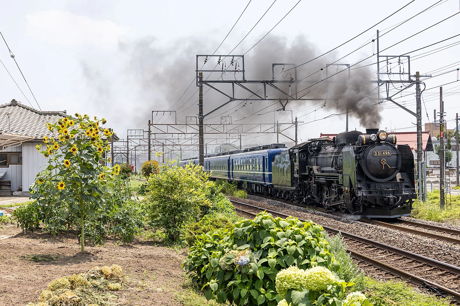 再再価格改定！鉄道ペディア 全5巻 v346, 復活したD51に会いたくて （2026年）｜ひろやん
