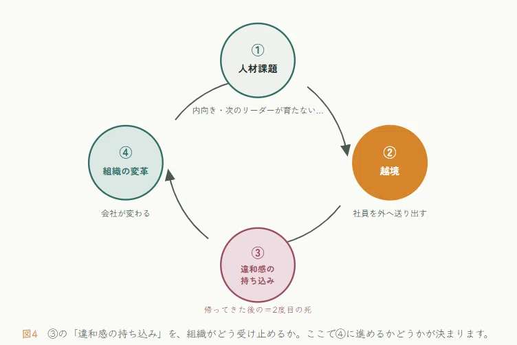 越境学習で人と組織が一緒に育つ「越境 in the loop」という考え方