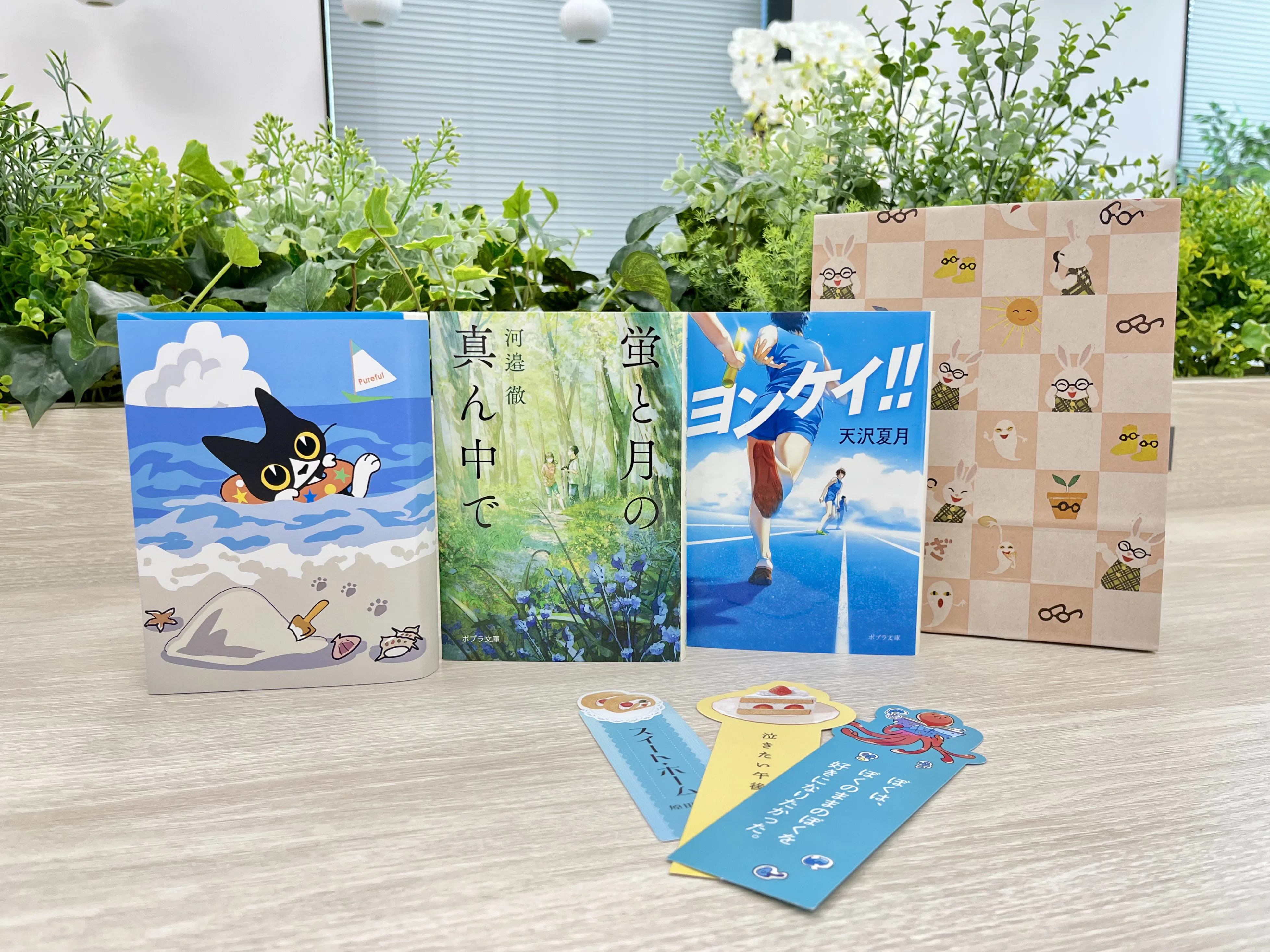夏こそ読書！ 編集部厳選の「夏の読書セット」つくっちゃいました