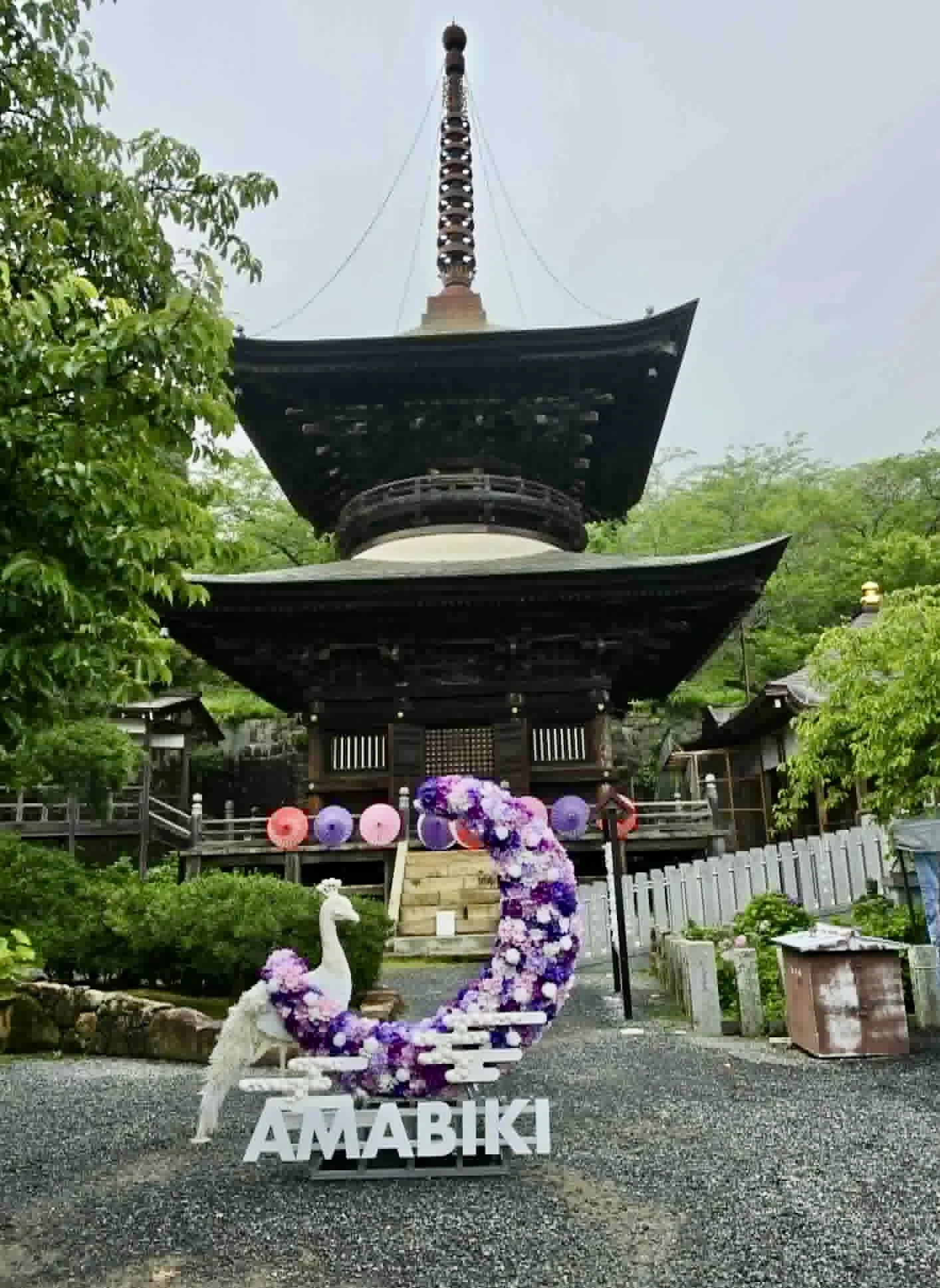 雨だから出会えた景色。紫陽花とメロンを楽しんだ、茨城の初夏旅｜Bun