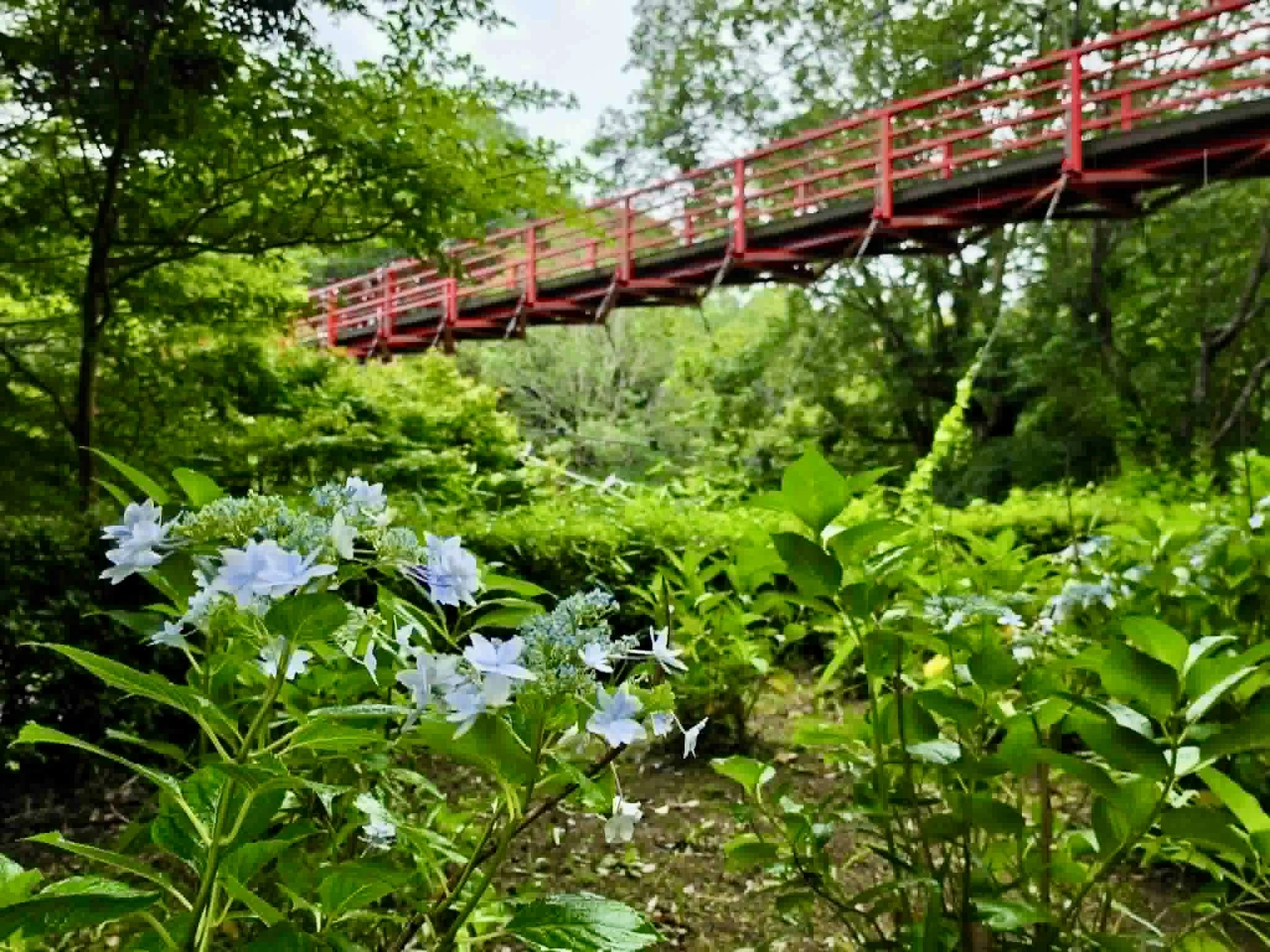 雨だから出会えた景色。紫陽花とメロンを楽しんだ、茨城の初夏旅｜Bun