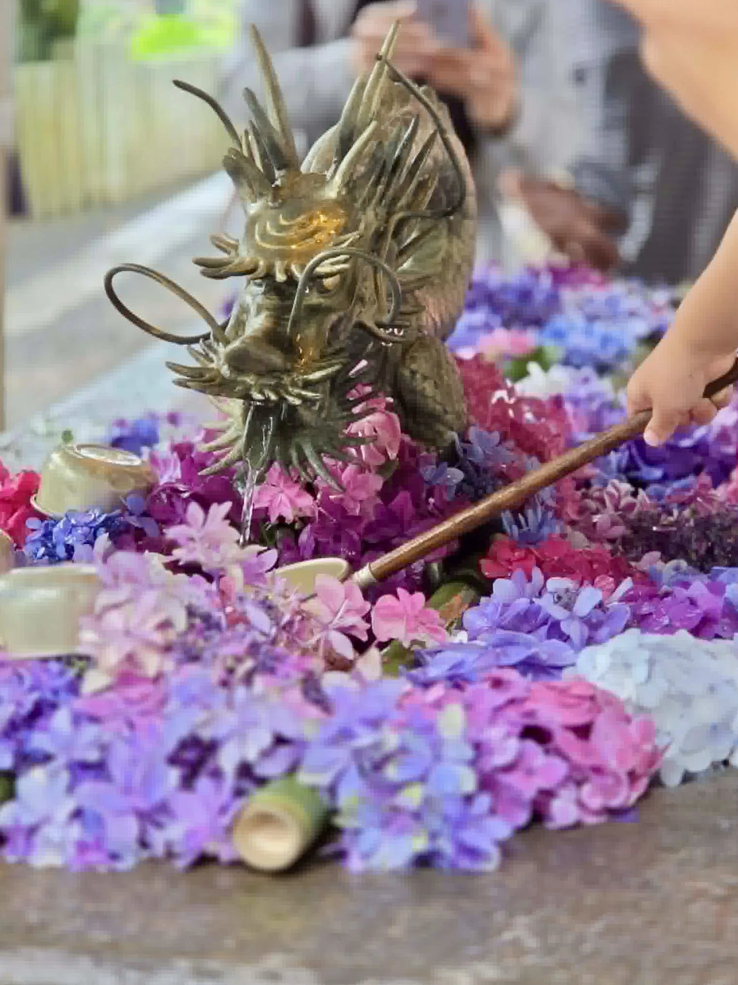 雨だから出会えた景色。紫陽花とメロンを楽しんだ、茨城の初夏旅｜Bun