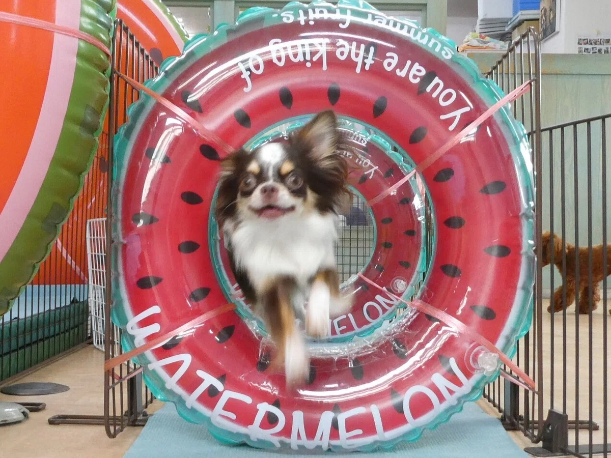 画像