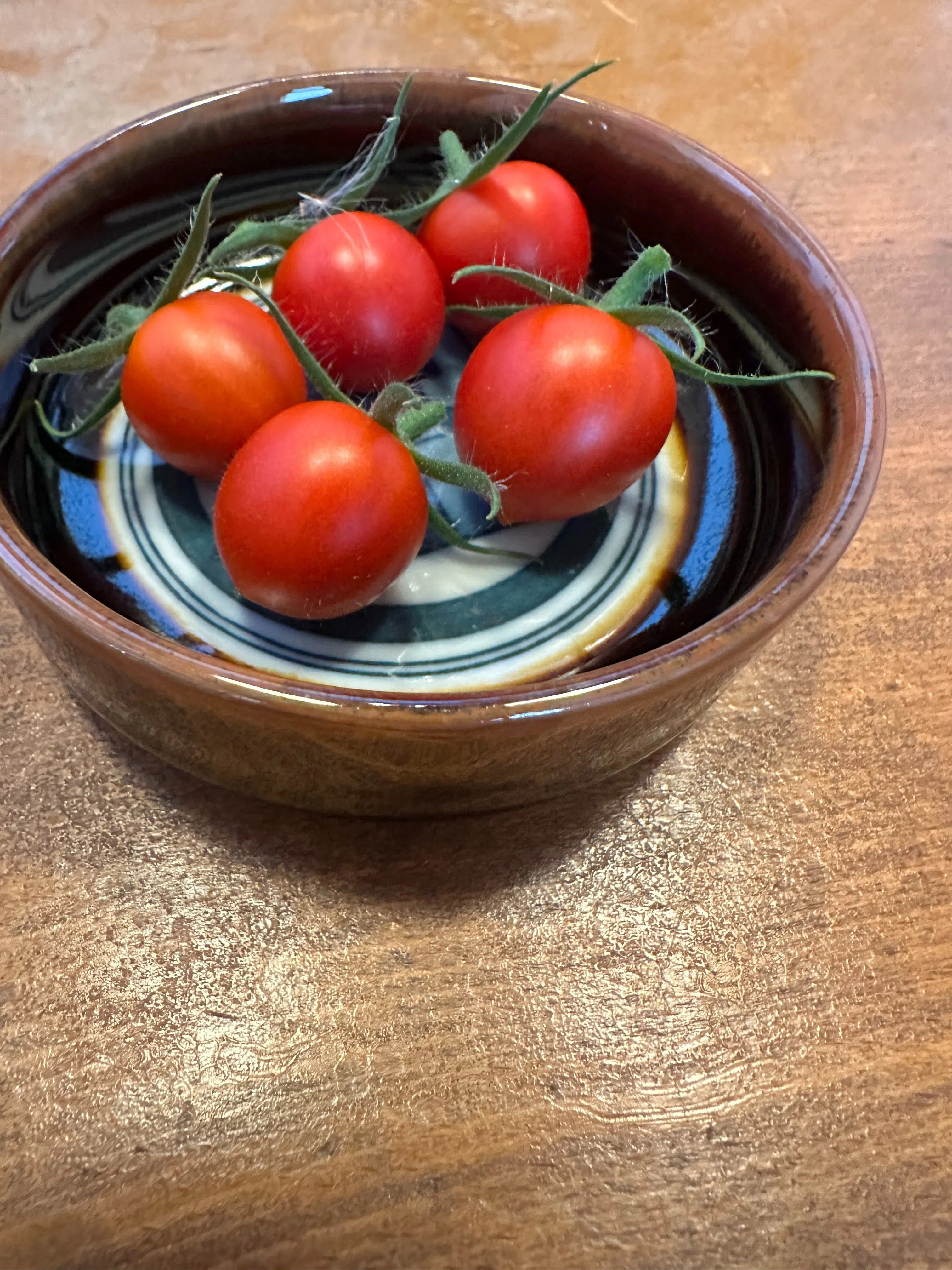 トマト様　確認画面 AIが52日水をやったトマトを食べたら酸っぱかった｜ツバメ